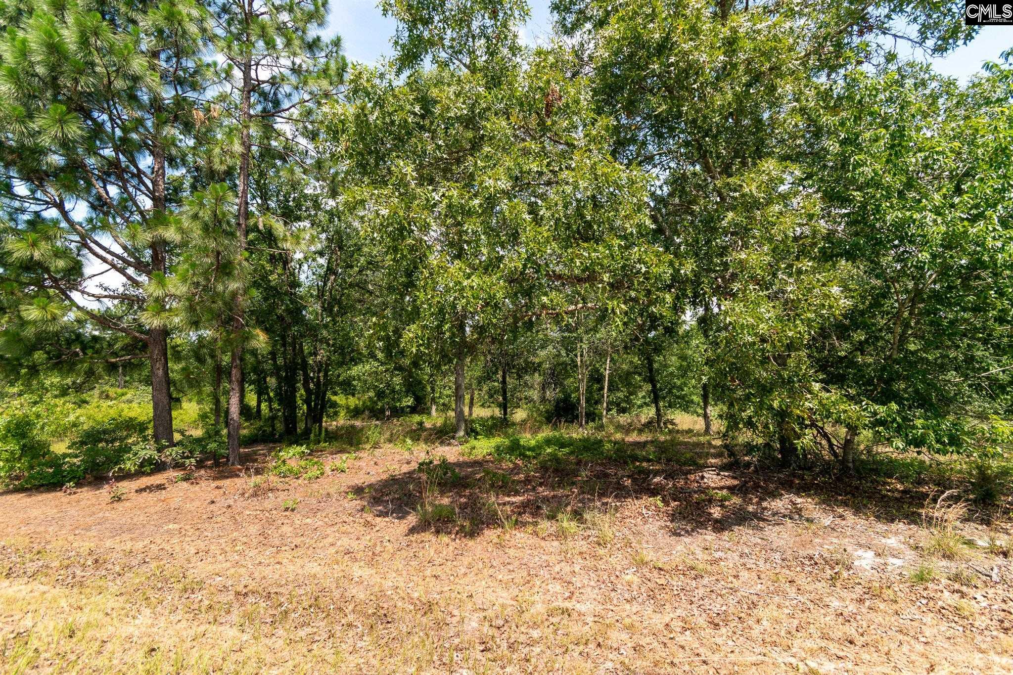 216 Hound Hollow Road, Camden, South Carolina image 34