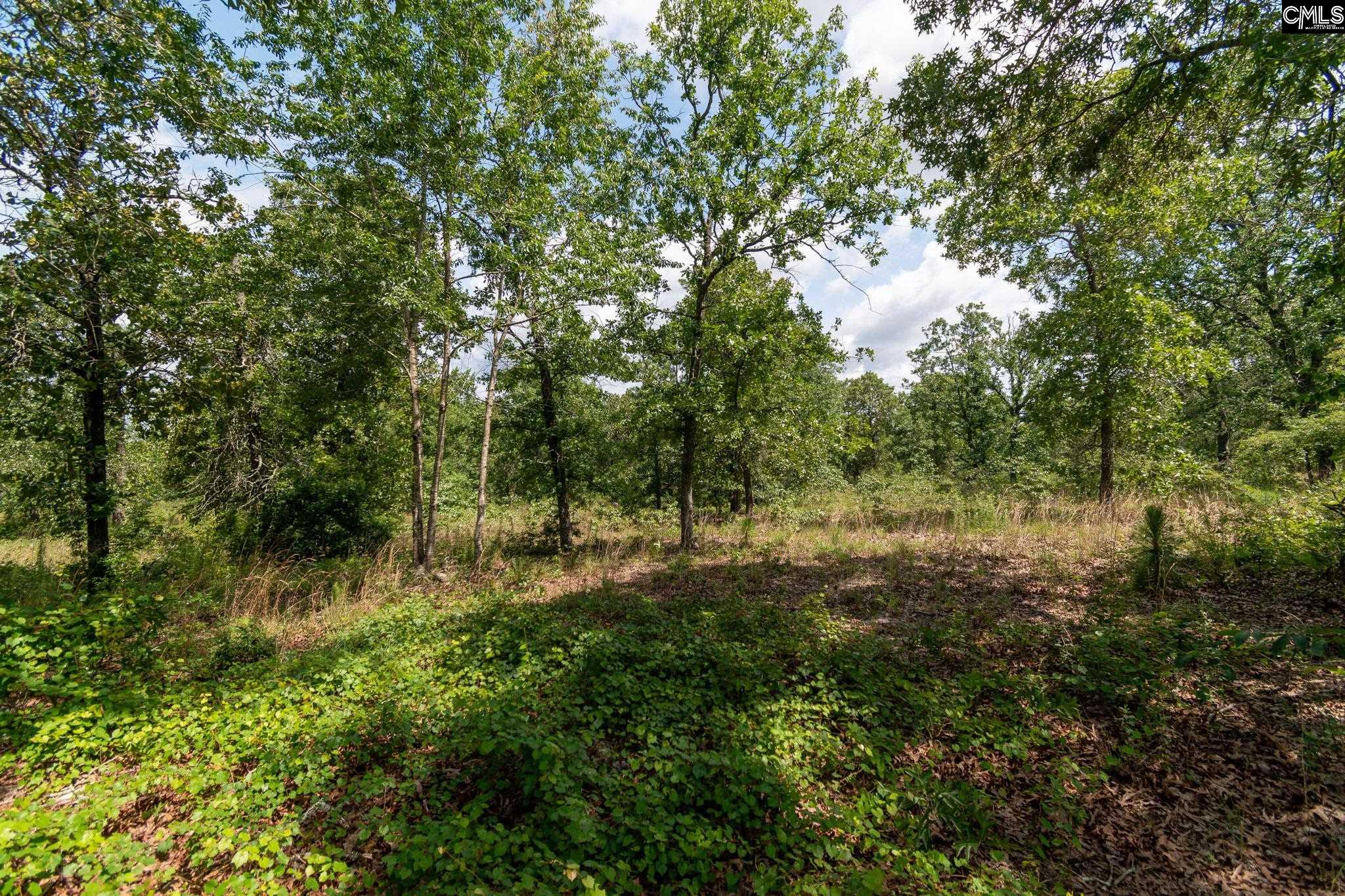 216 Hound Hollow Road, Camden, South Carolina image 35