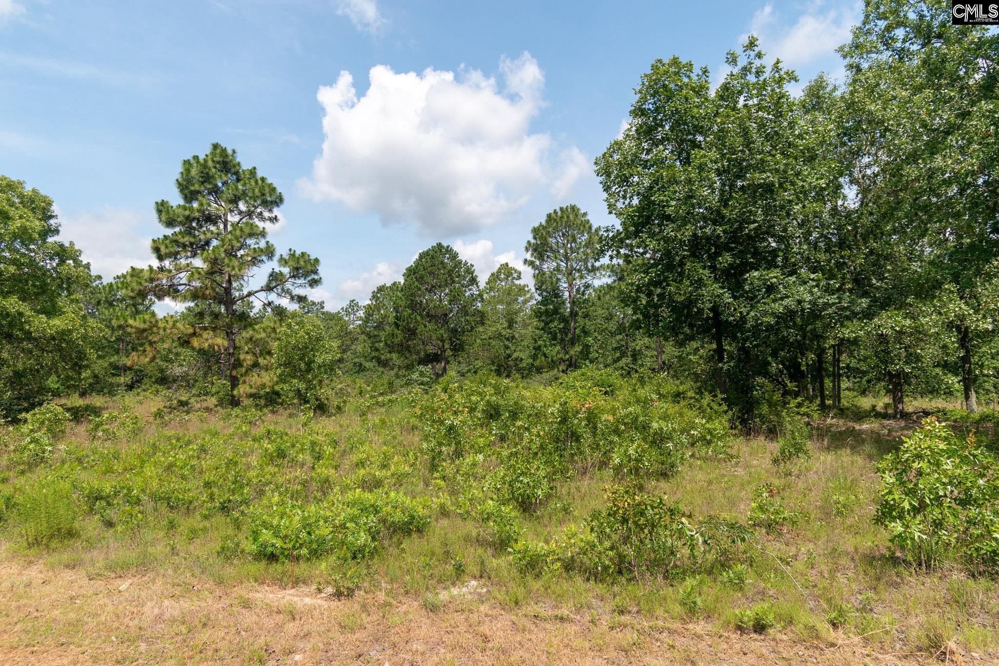 216 Hound Hollow Road, Camden, South Carolina image 37