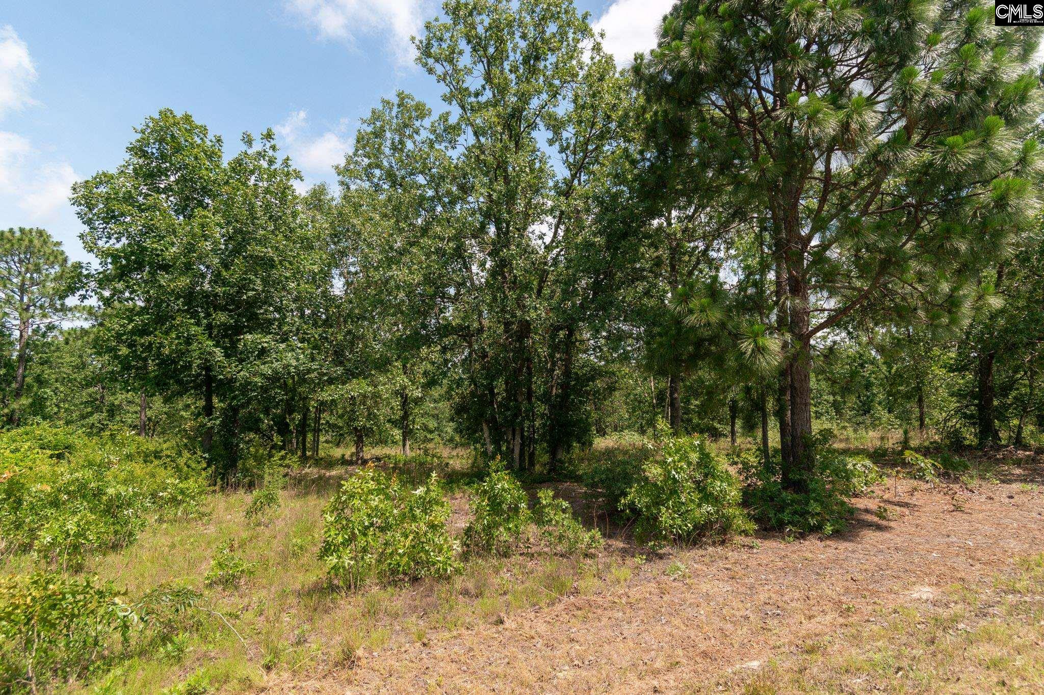 216 Hound Hollow Road, Camden, South Carolina image 38