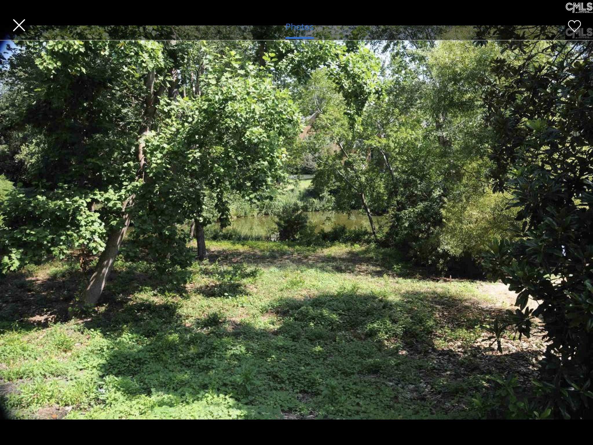 205 Branch Hill Lane Arcadia Lakes, SC 29223