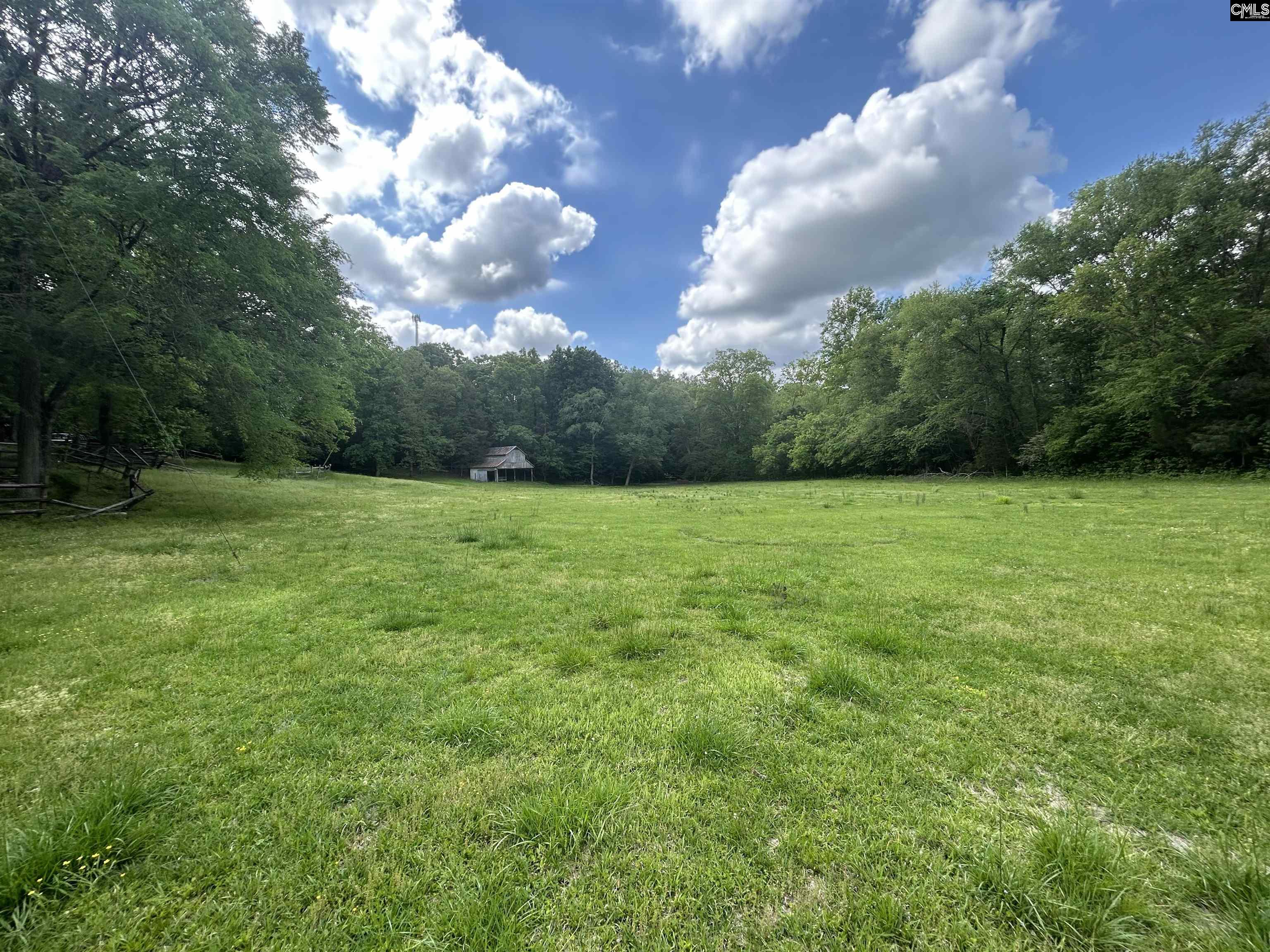 8747 Winnsboro Road, Blythewood, South Carolina image 16