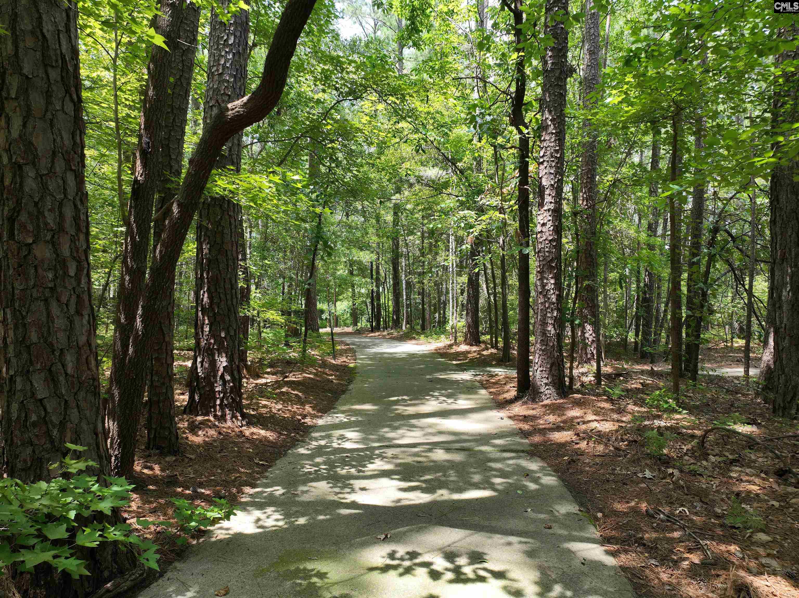 22 Guildford Green Court, Columbia, South Carolina image 15