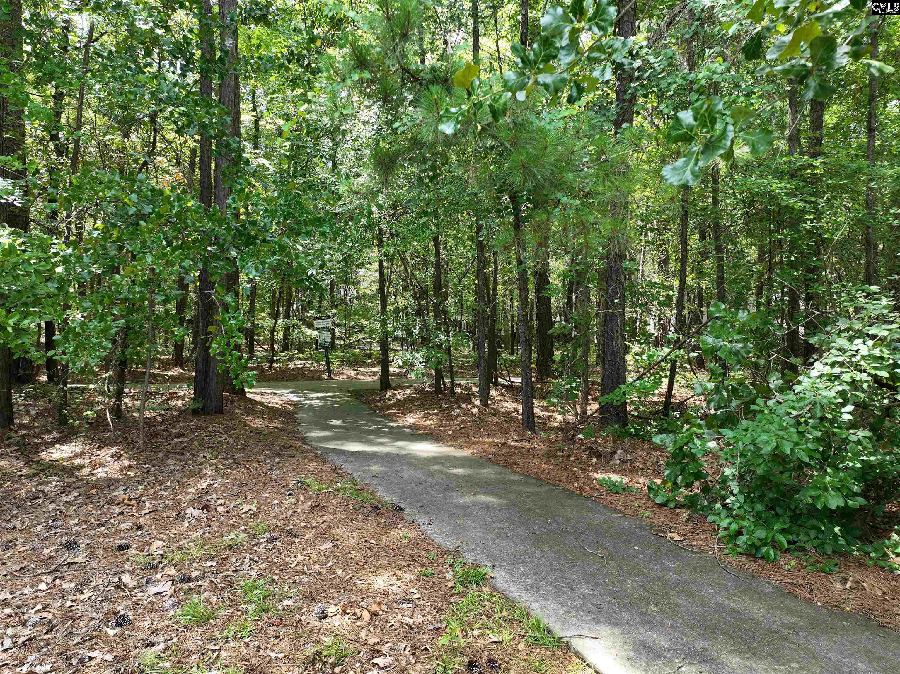 22 Guildford Green Court, Columbia, South Carolina image 30