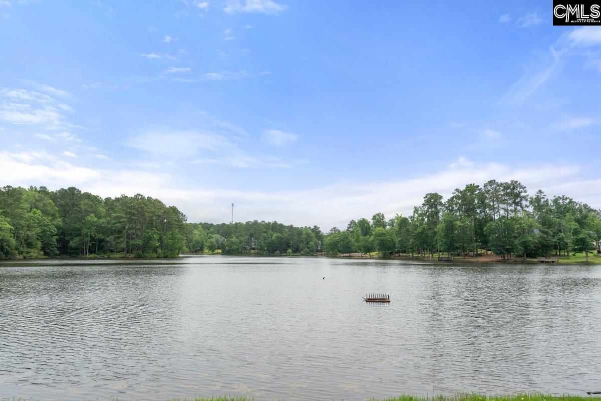 102 Honeybee Court, Lexington, South Carolina image 40