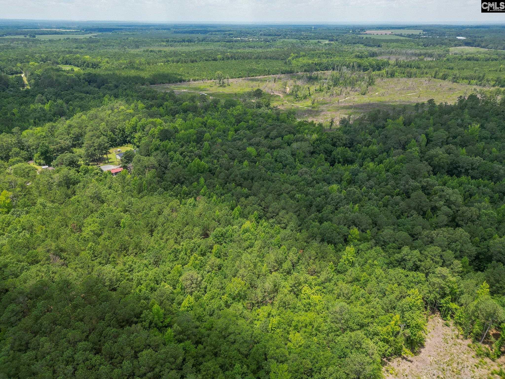 Mcdaniel Road, Rembert, South Carolina image 12