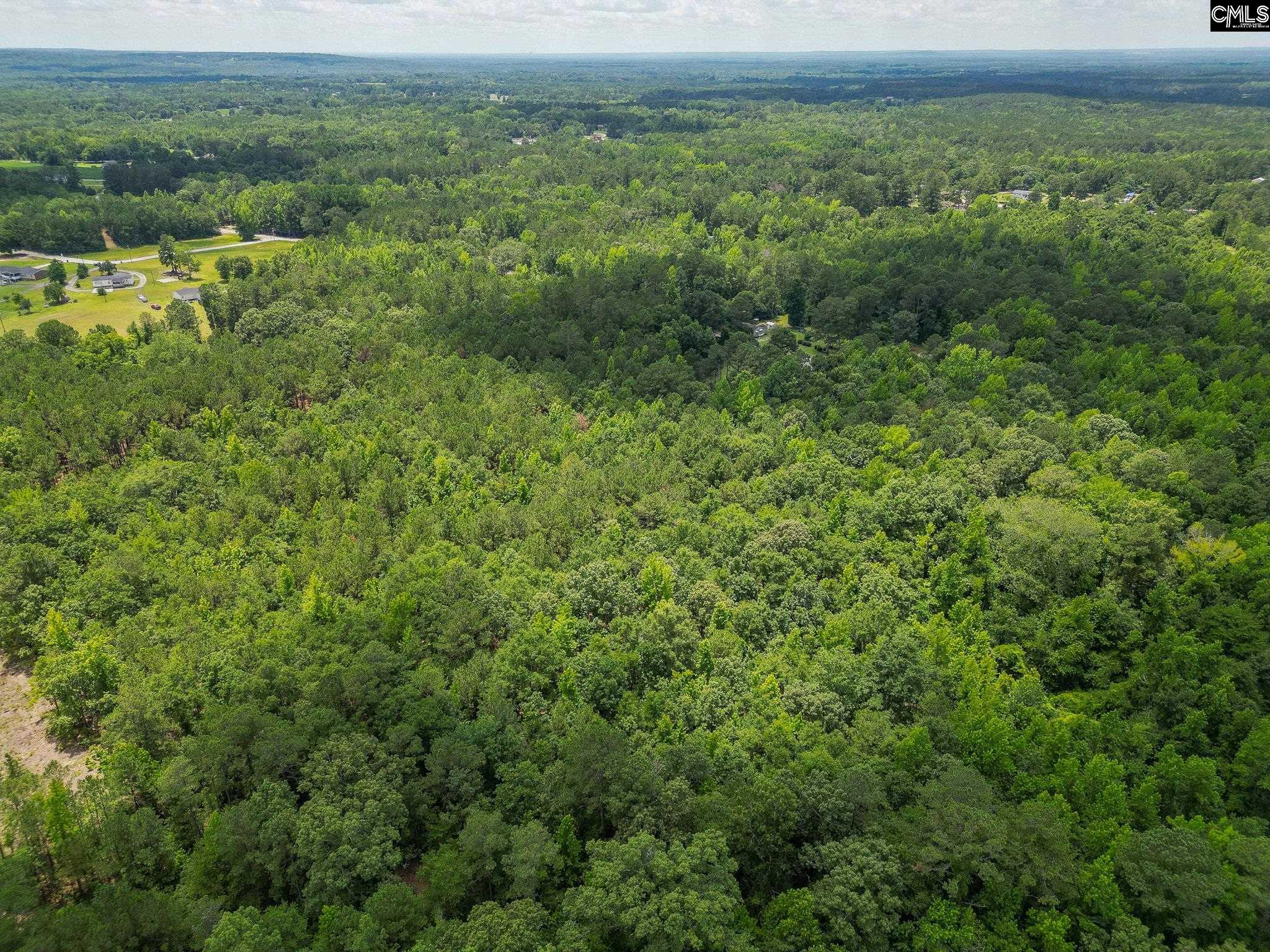Mcdaniel Road, Rembert, South Carolina image 15