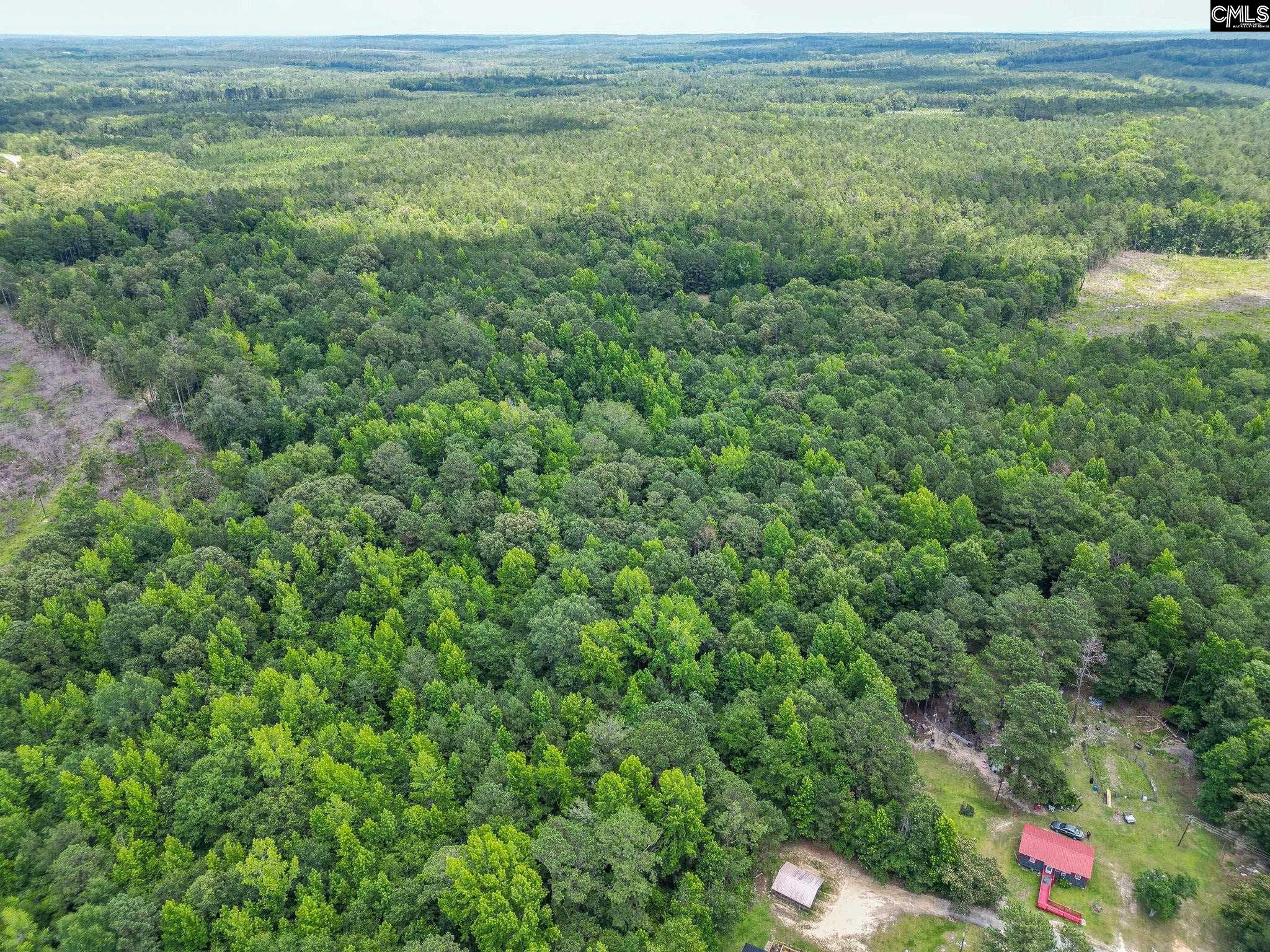 Mcdaniel Road, Rembert, South Carolina image 3