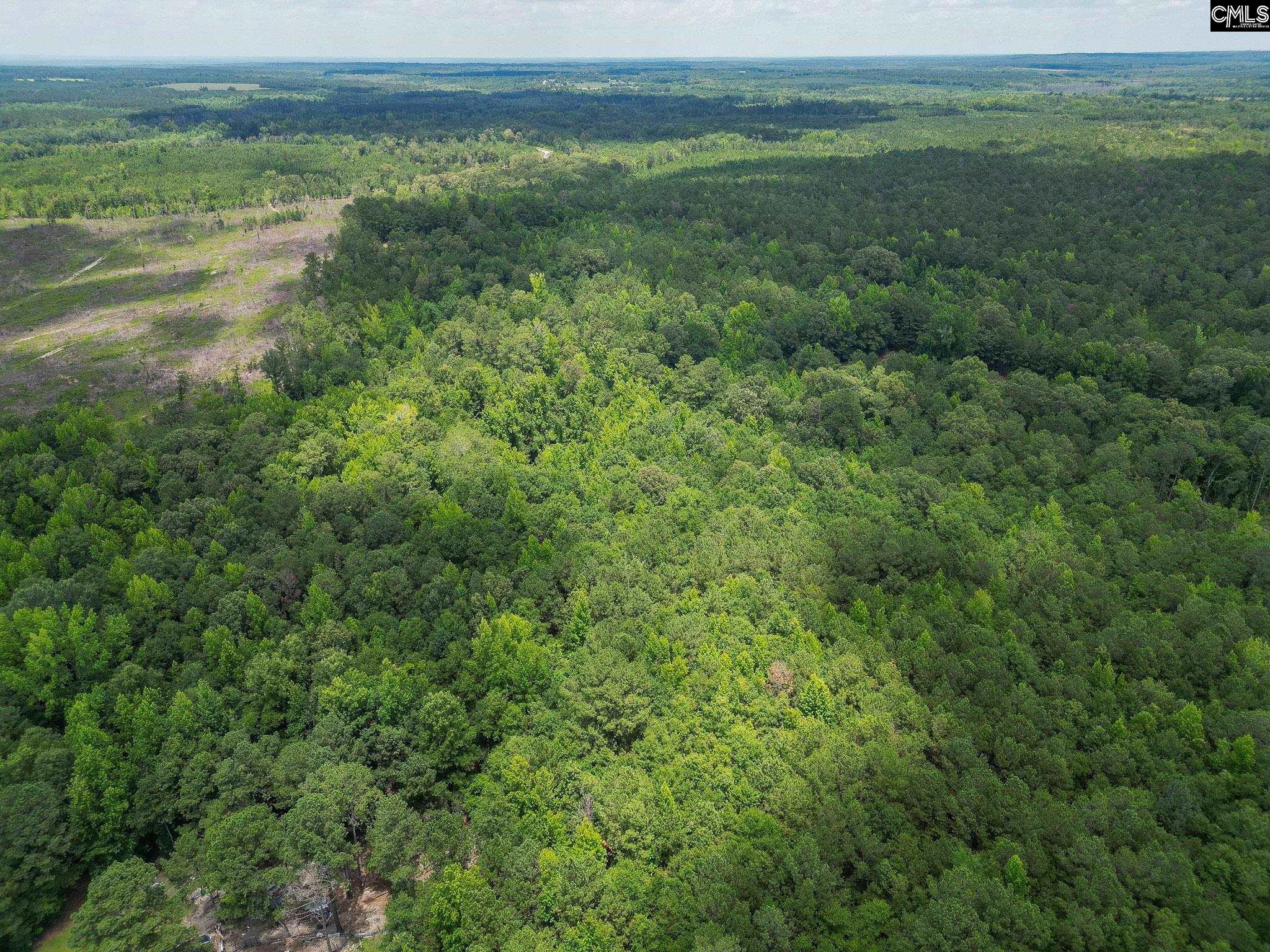 Mcdaniel Road, Rembert, South Carolina image 6