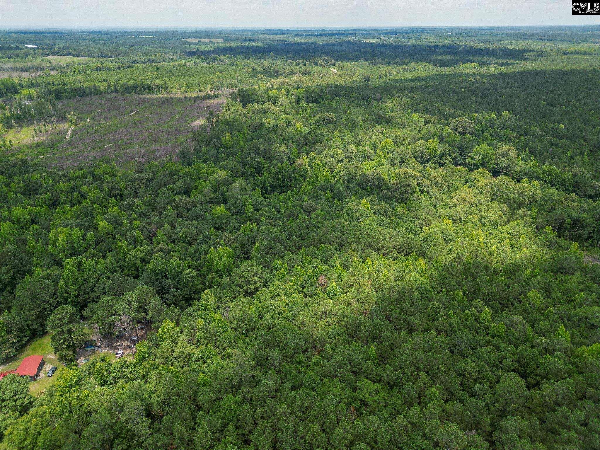 Mcdaniel Road, Rembert, South Carolina image 7