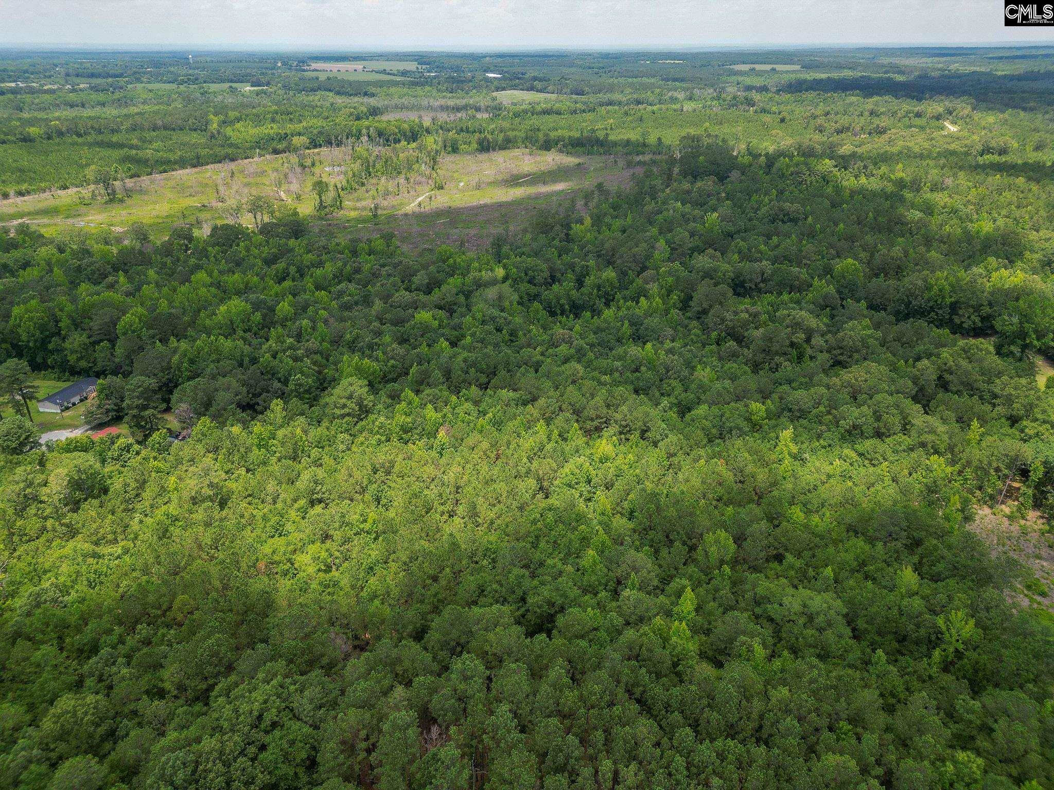 Mcdaniel Road, Rembert, South Carolina image 10