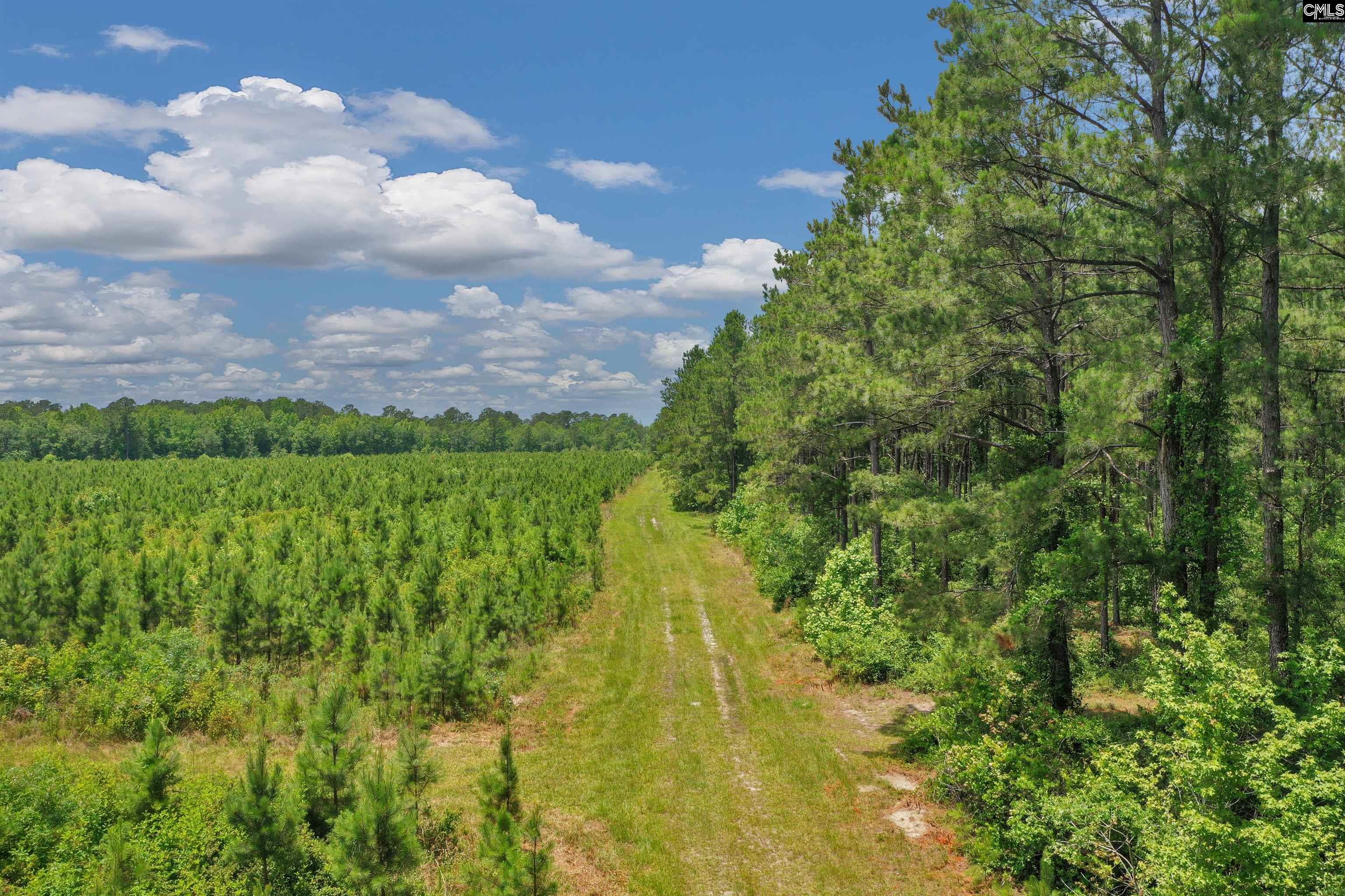 0000 N Brewington, Manning, South Carolina image 1