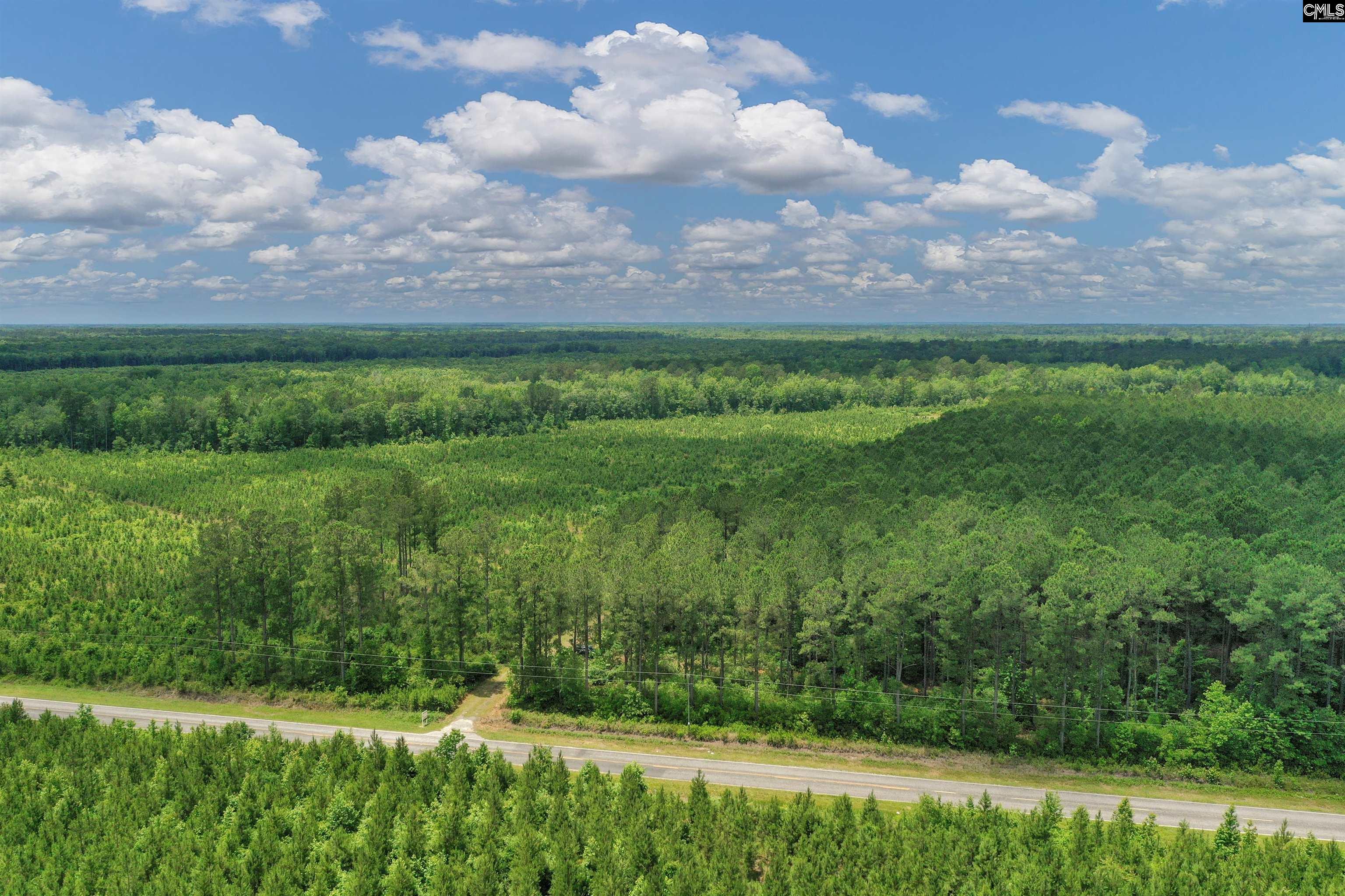 0000 N Brewington, Manning, South Carolina image 2