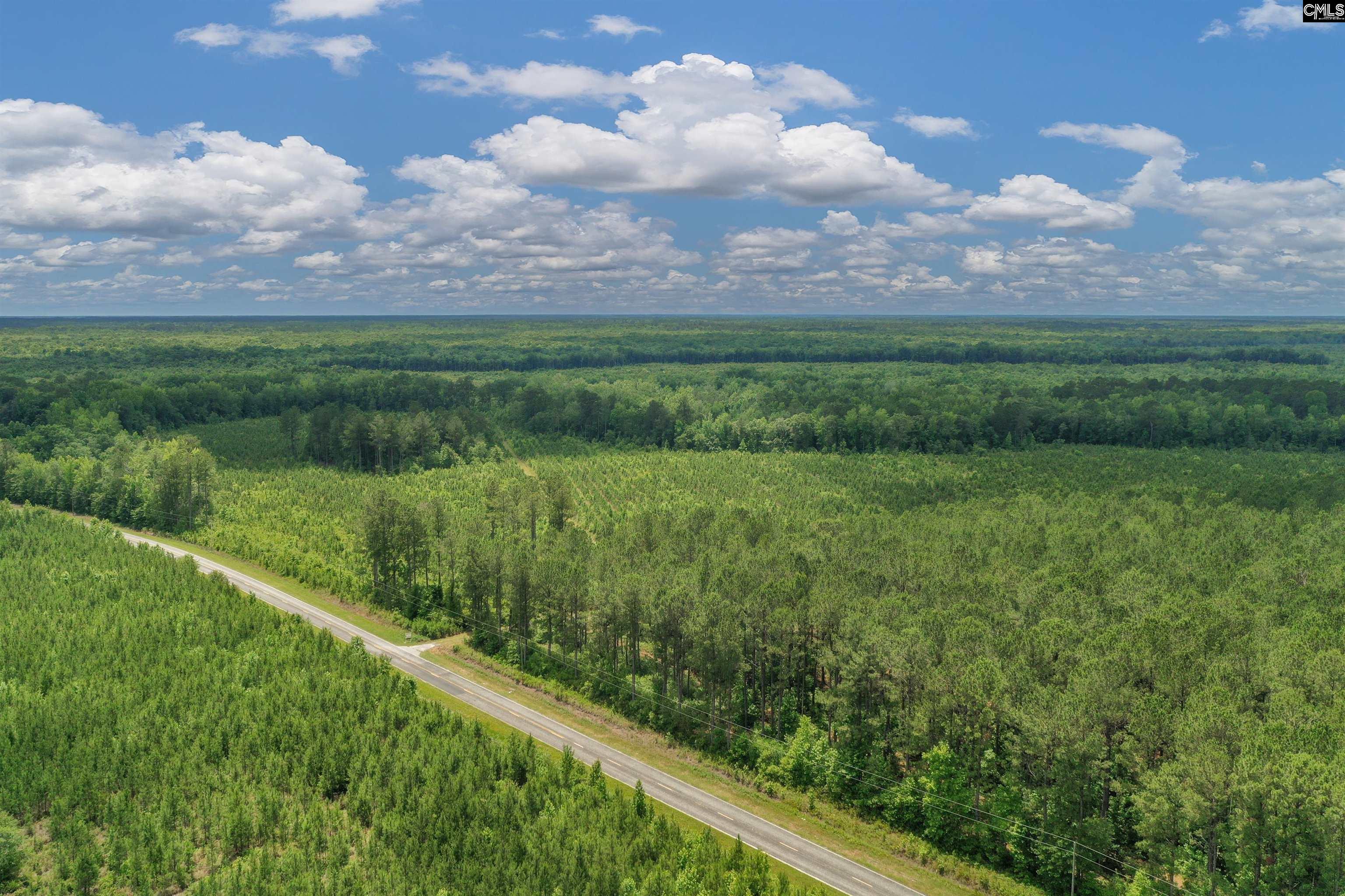 0000 N Brewington Manning, SC 29102