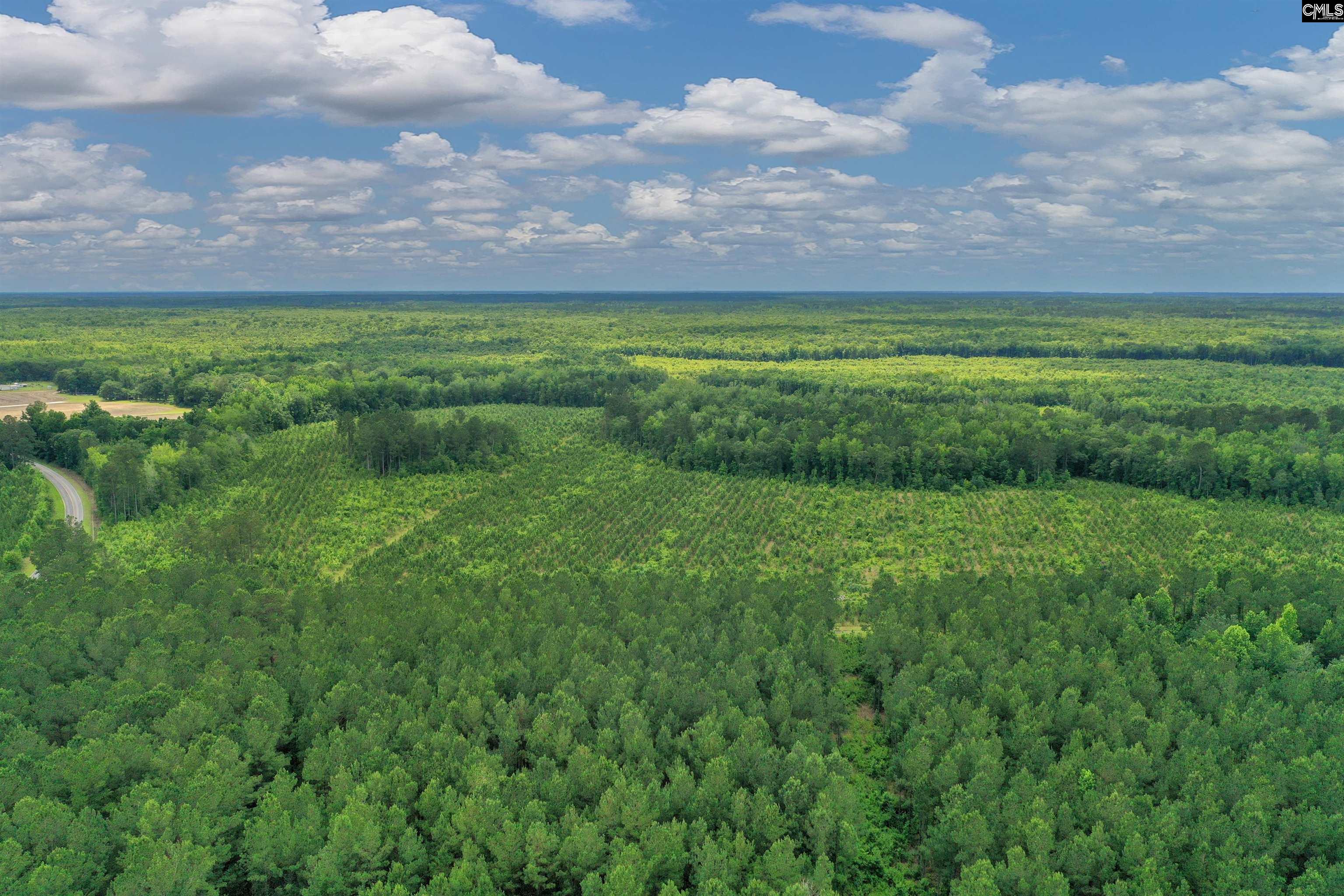 0000 N Brewington Manning, SC 29102