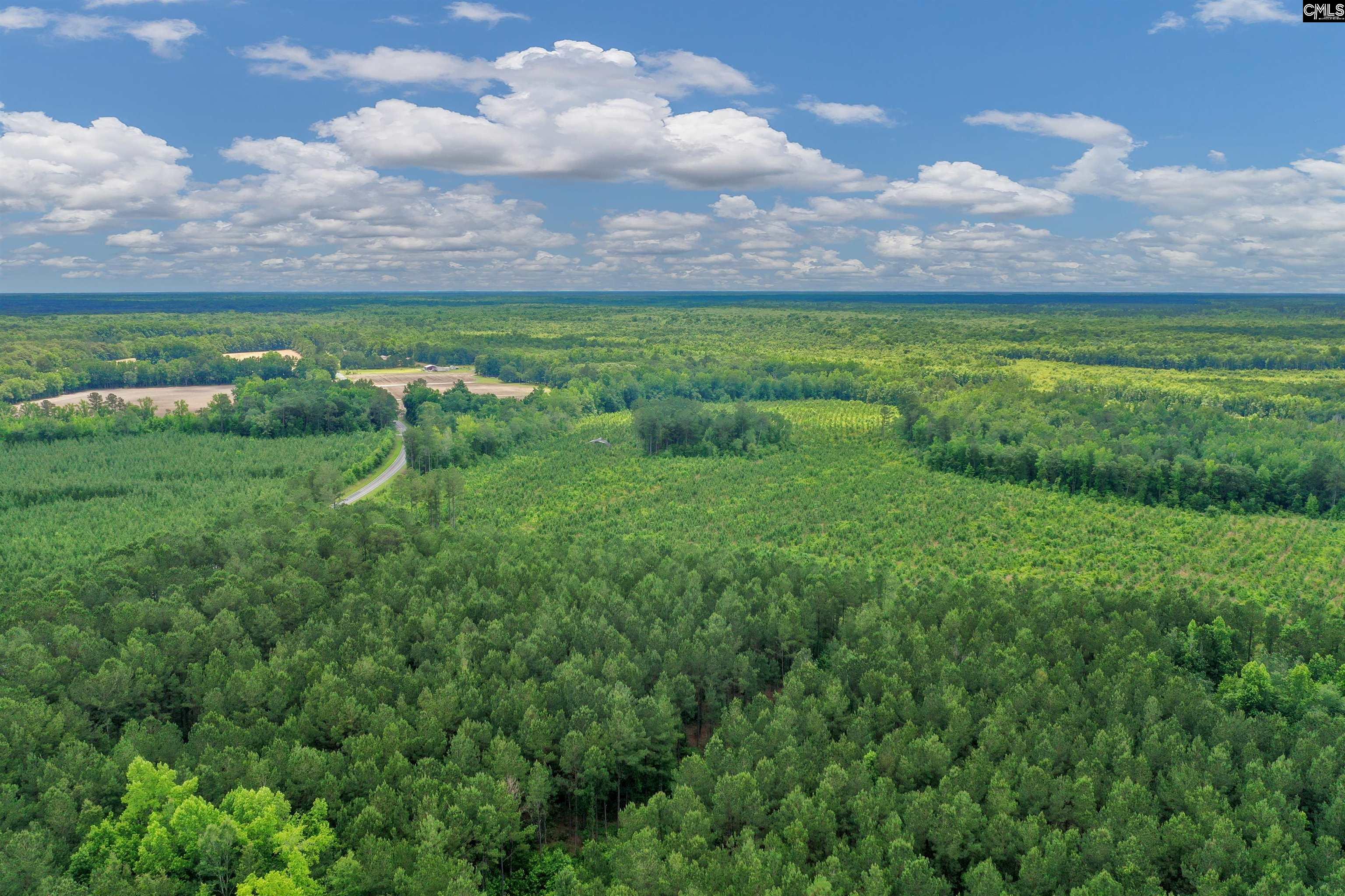 0000 N Brewington Manning, SC 29102