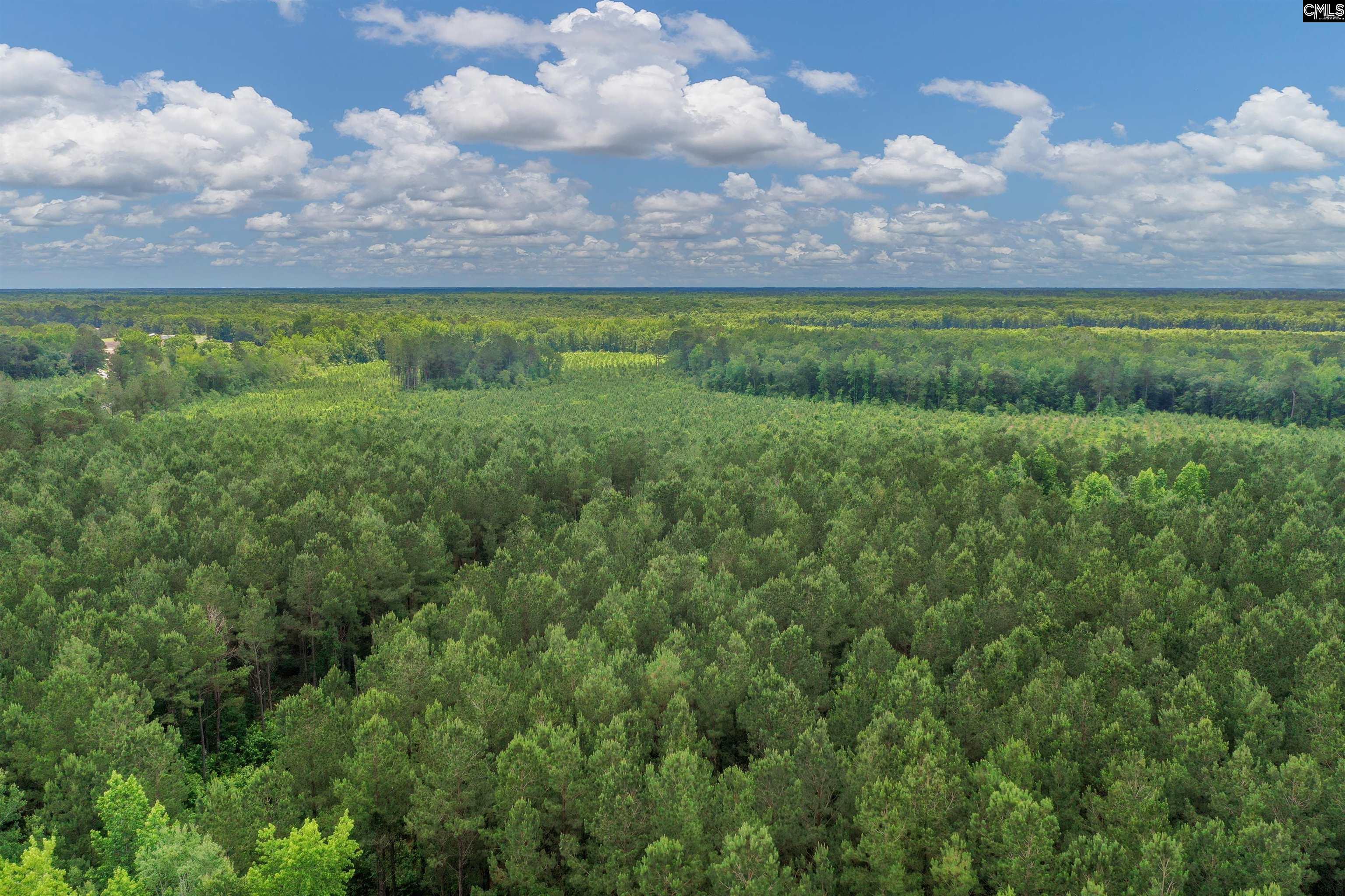 0000 N Brewington, Manning, South Carolina image 13