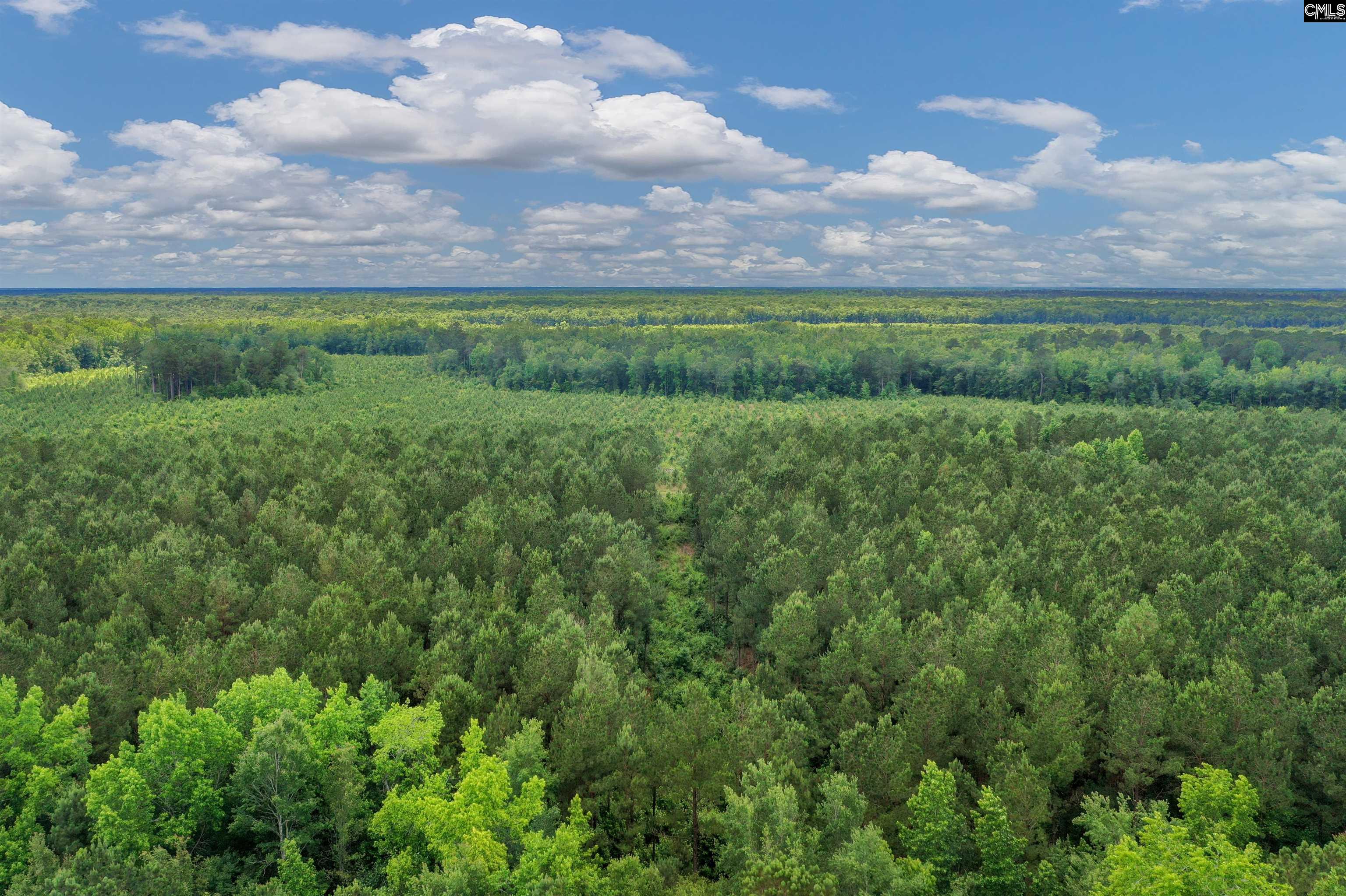 0000 N Brewington, Manning, South Carolina image 14