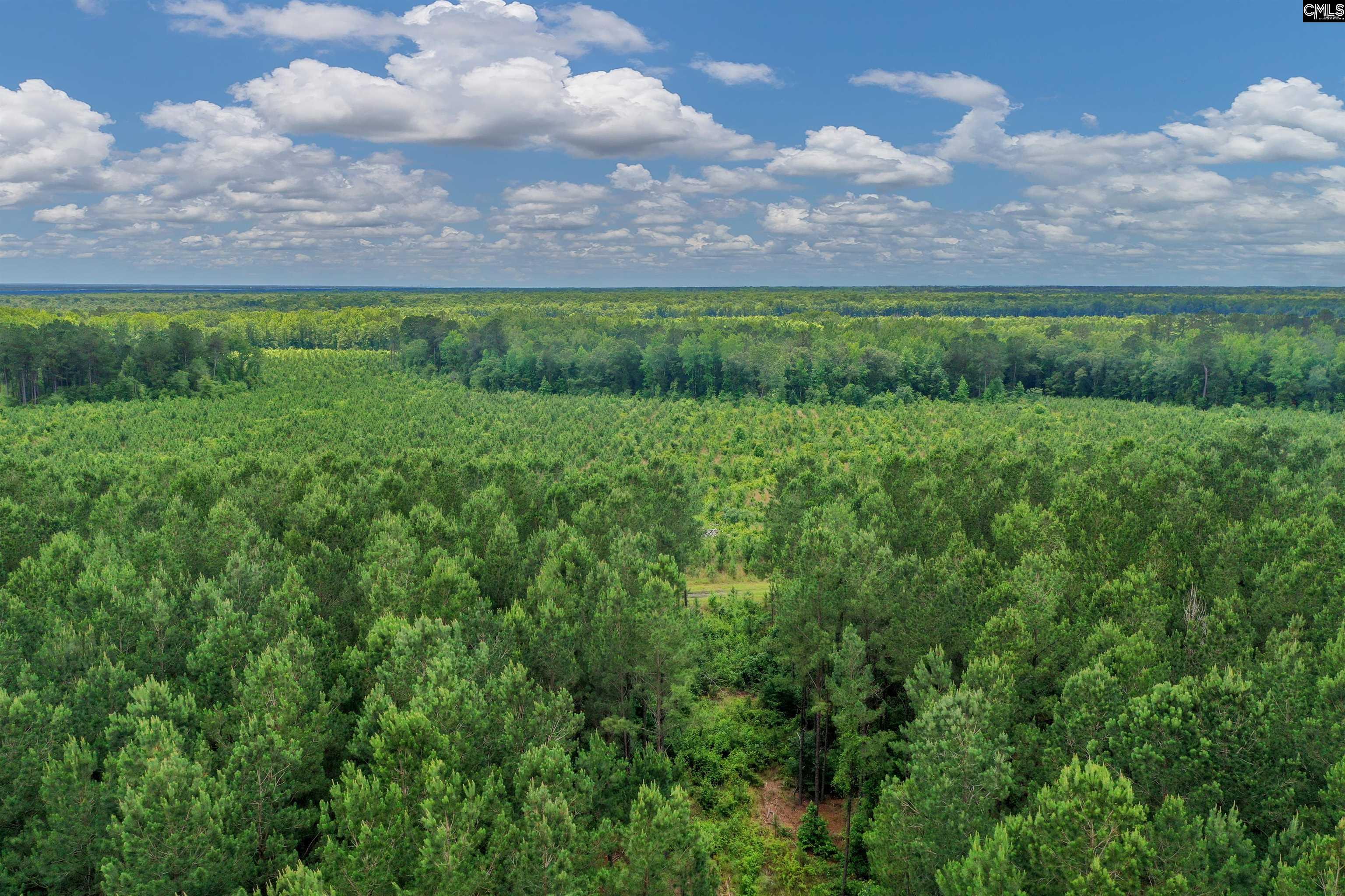 0000 N Brewington, Manning, South Carolina image 15