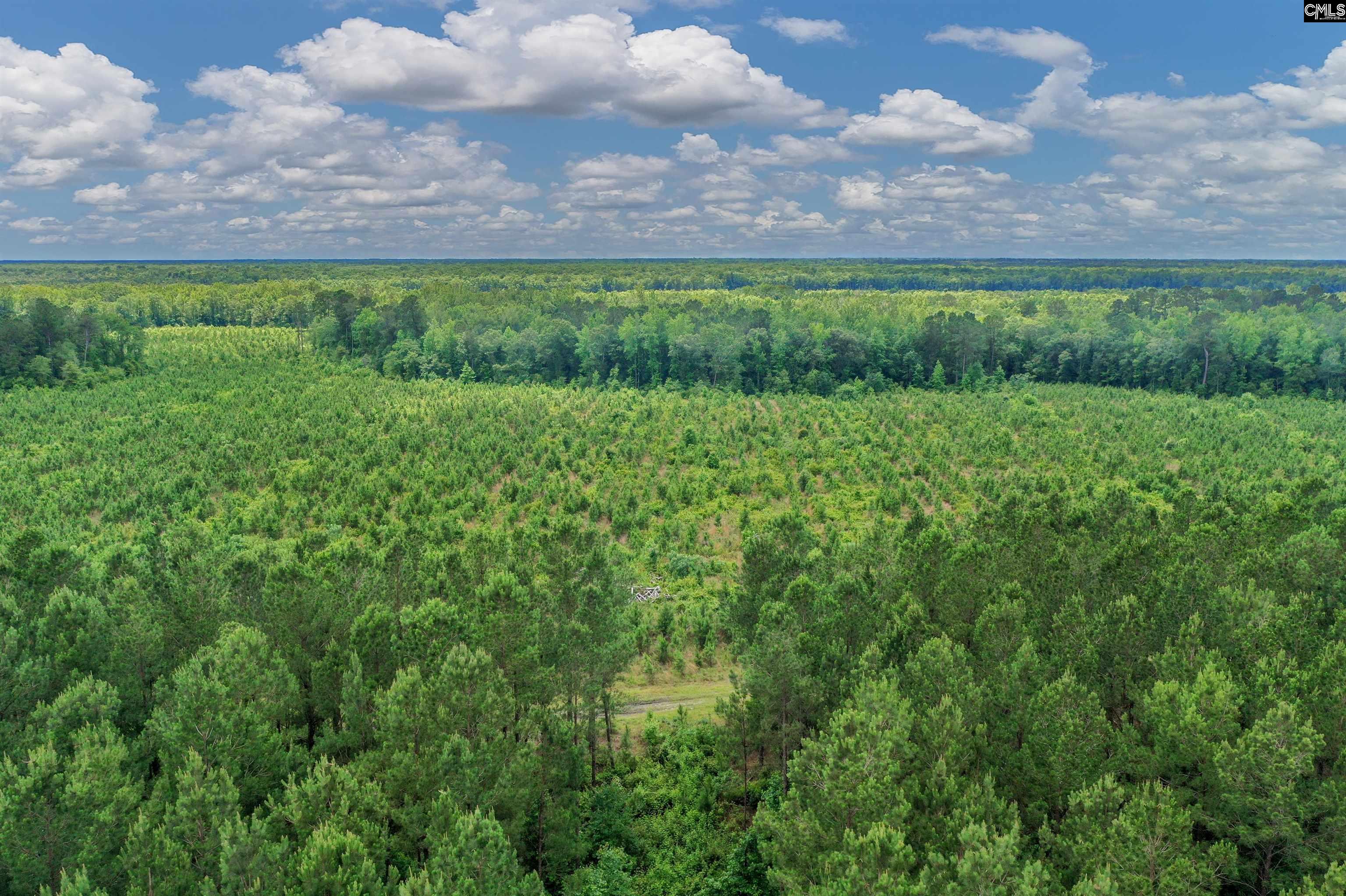 0000 N Brewington, Manning, South Carolina image 16