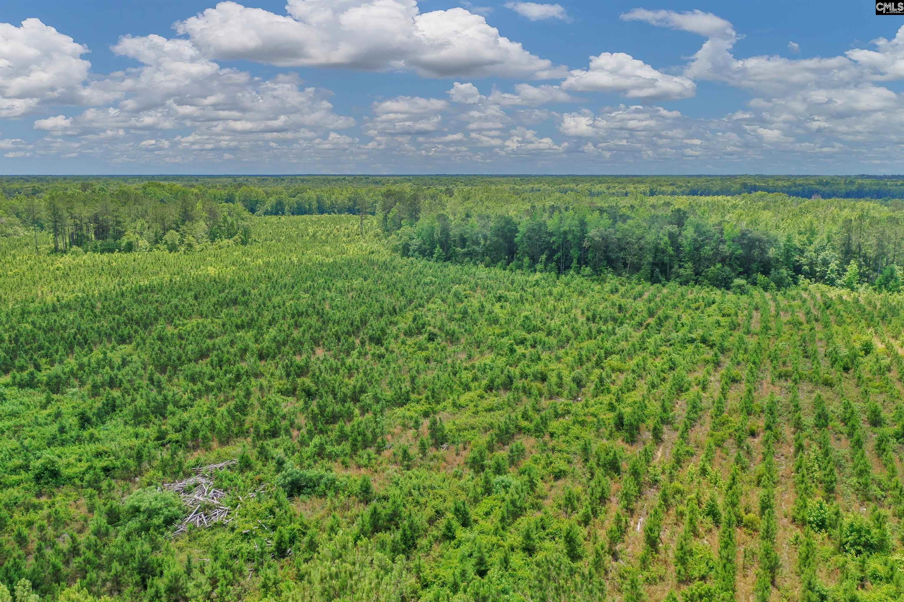 0000 N Brewington, Manning, South Carolina image 17