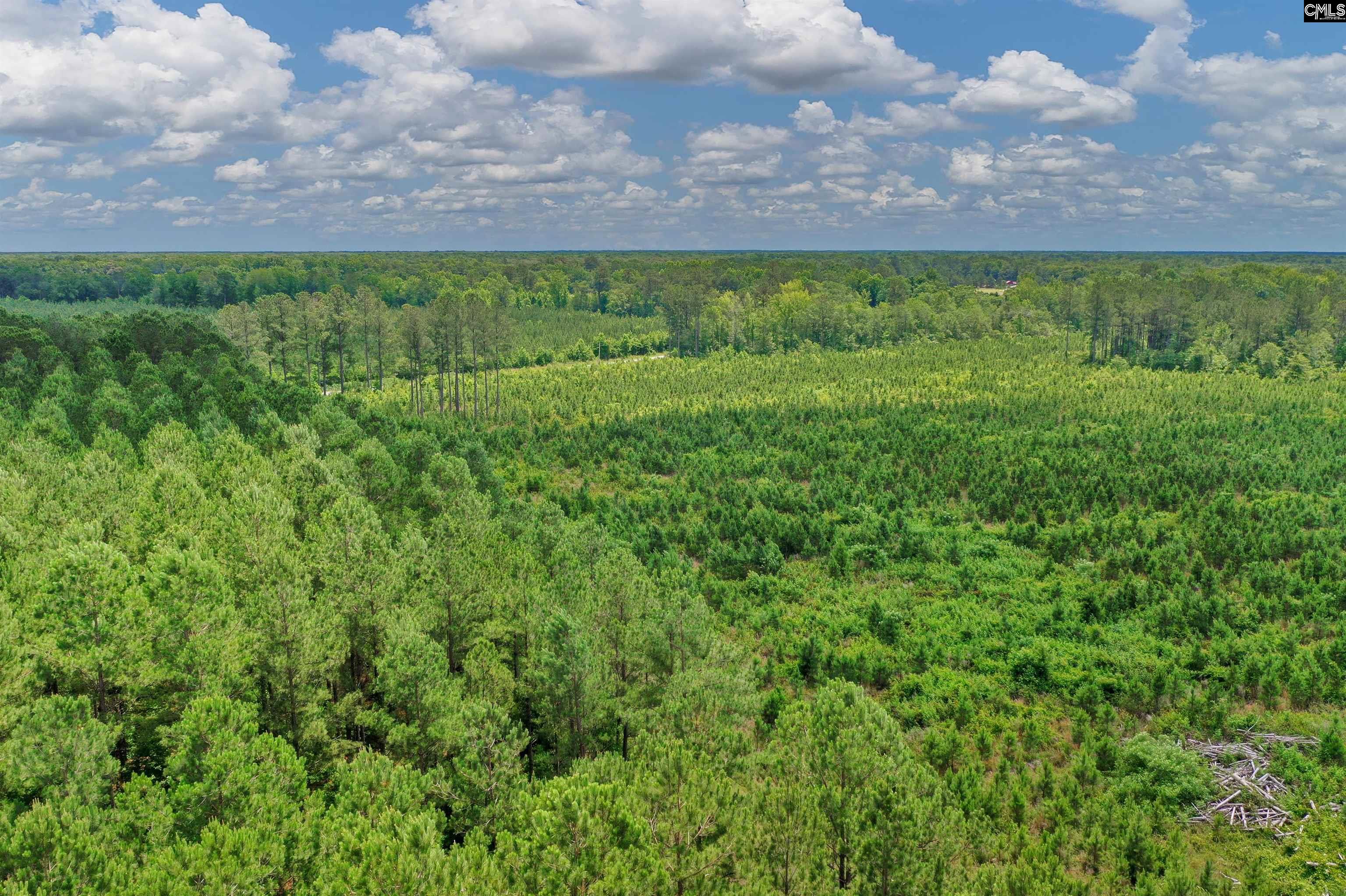 0000 N Brewington, Manning, South Carolina image 18