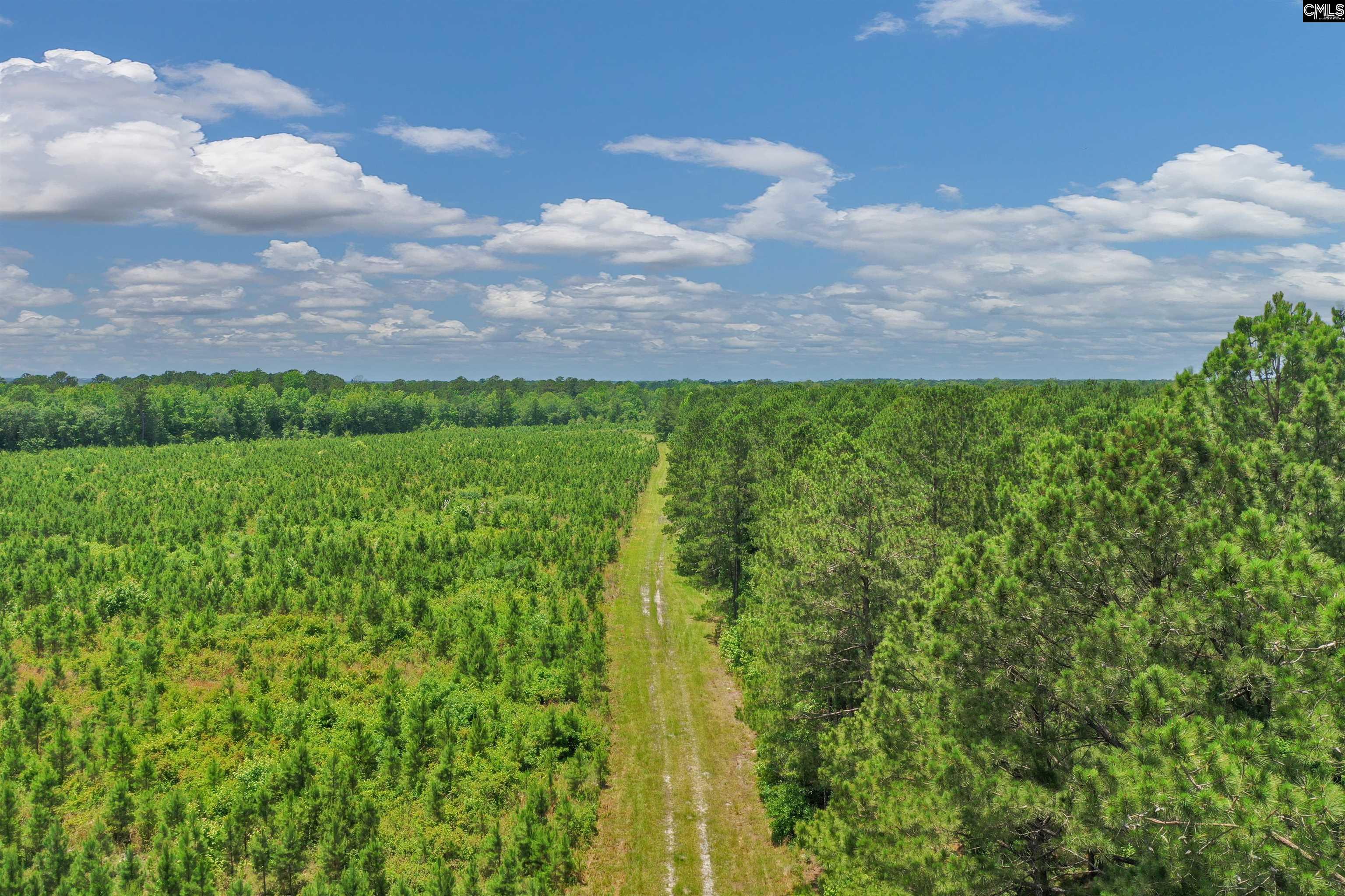 0000 N Brewington, Manning, South Carolina image 21