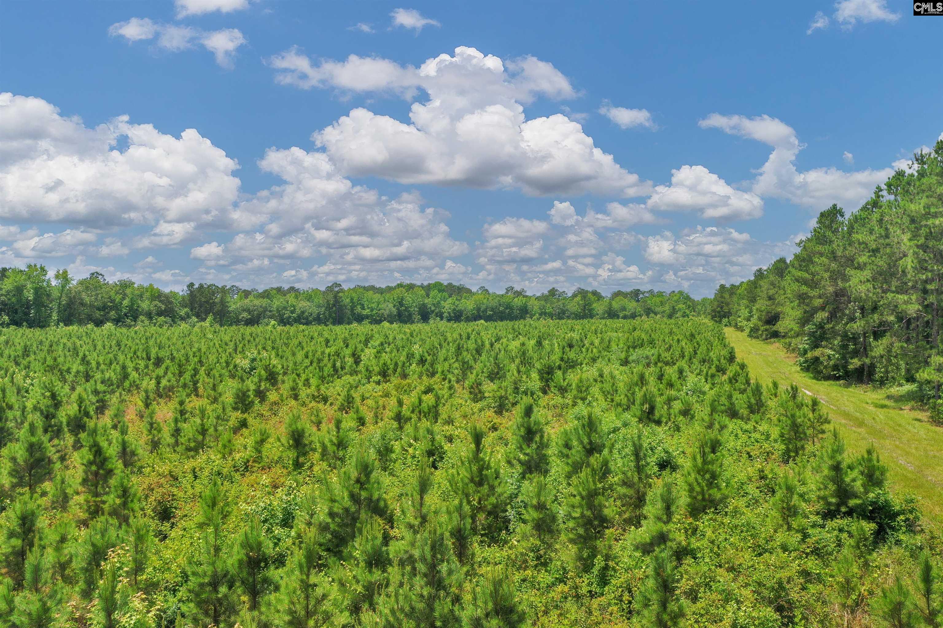 0000 N Brewington Manning, SC 29102