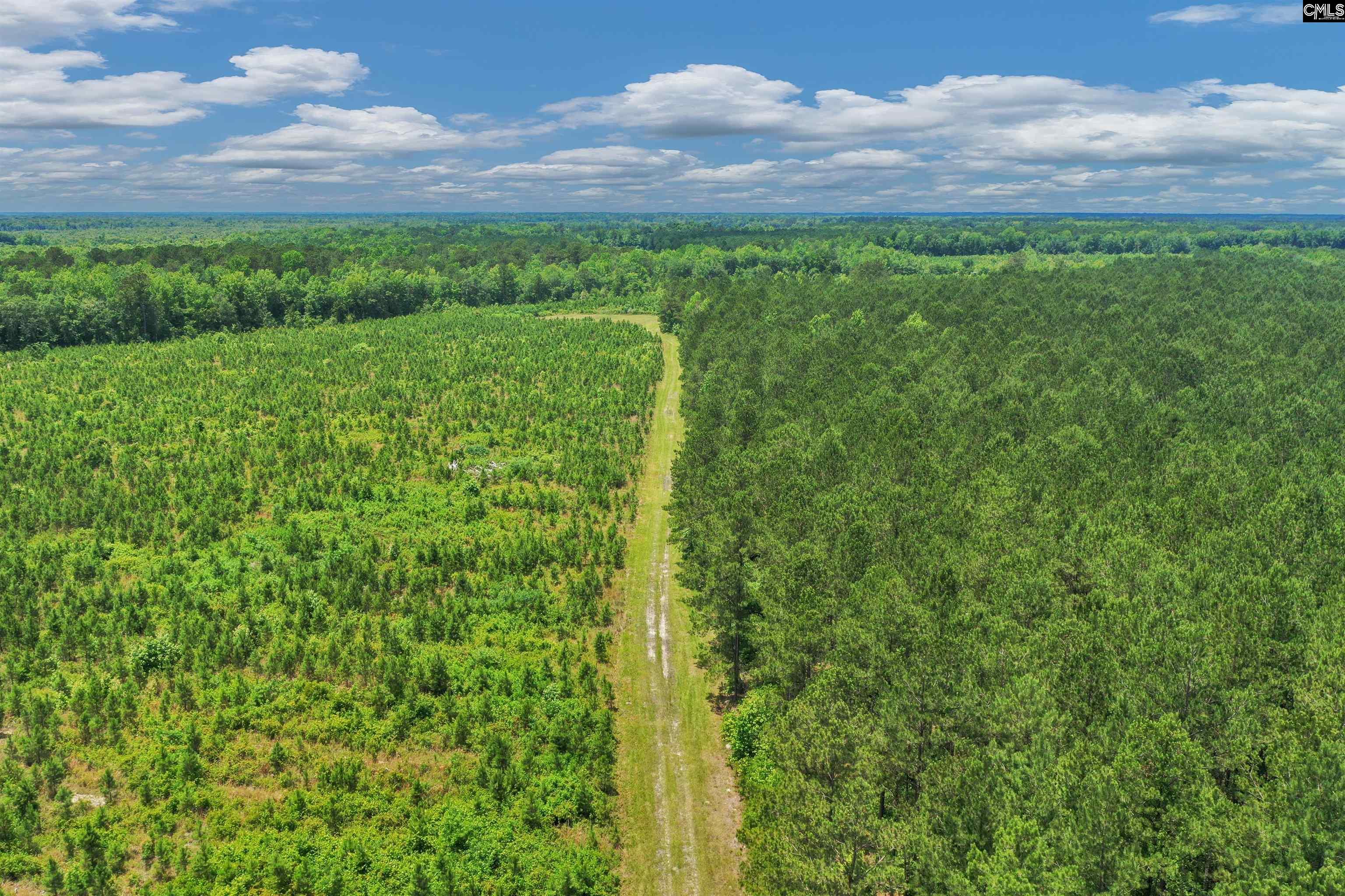 0000 N Brewington Manning, SC 29102