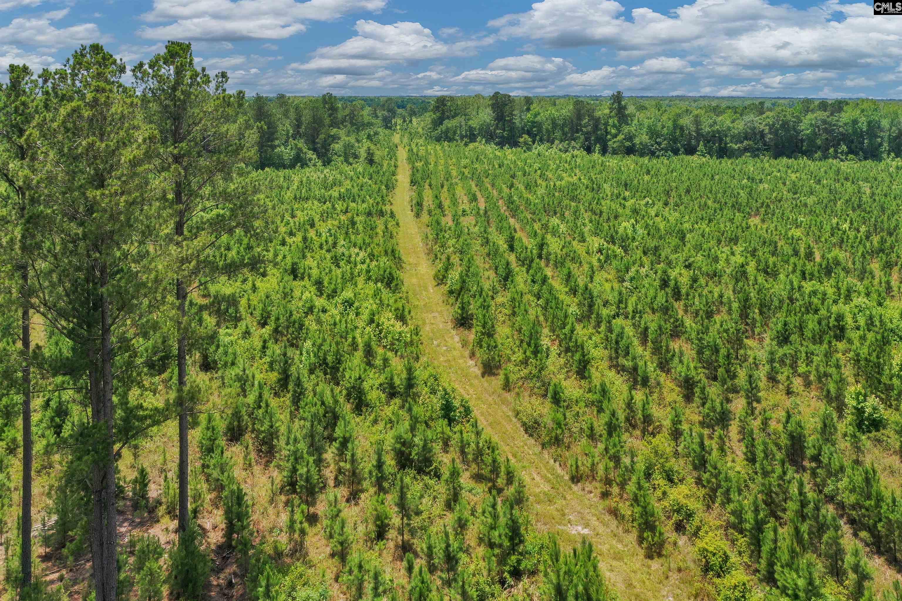 0000 N Brewington Manning, SC 29102
