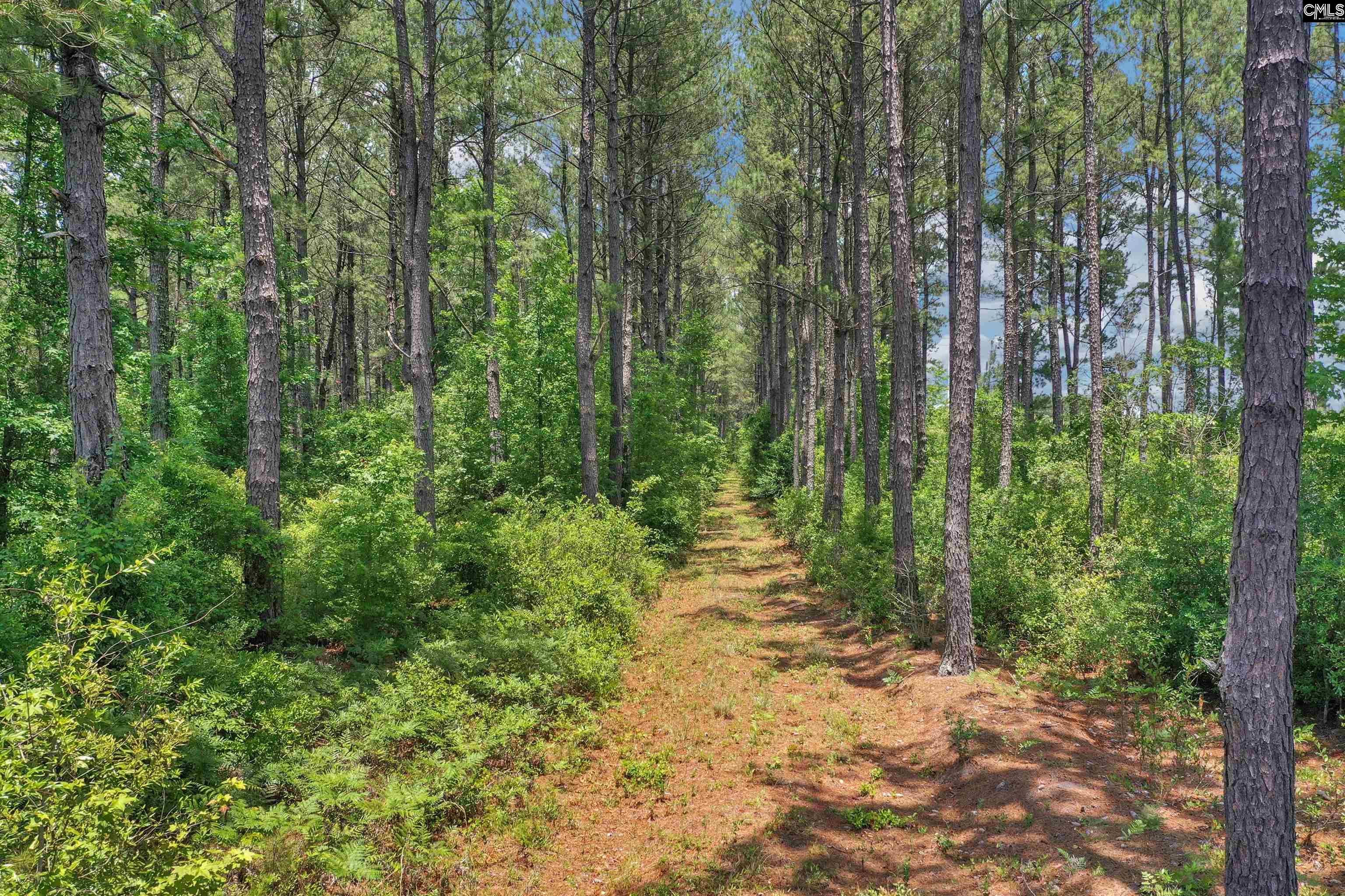 0000 N Brewington Manning, SC 29102