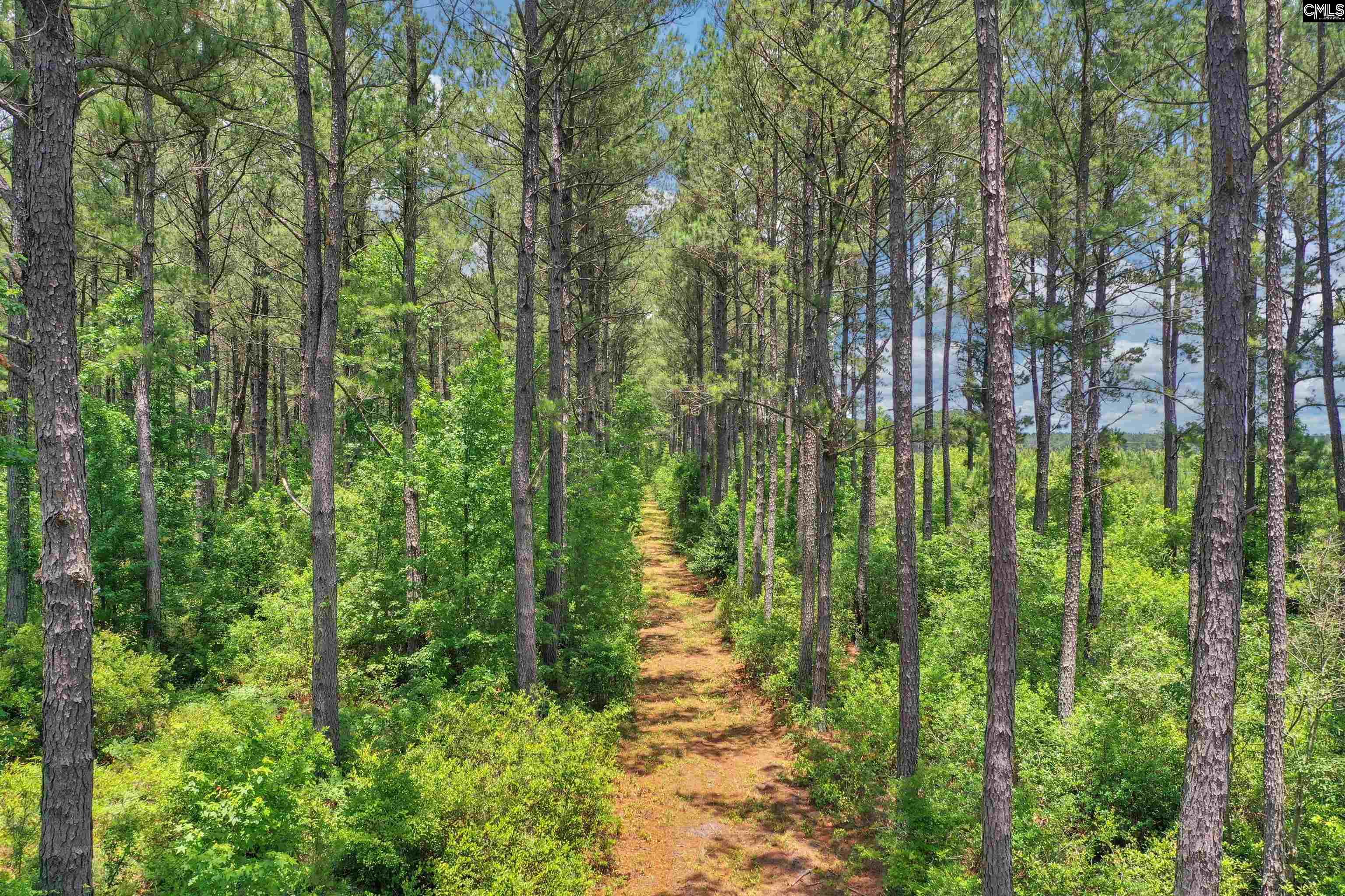 0000 N Brewington, Manning, South Carolina image 25