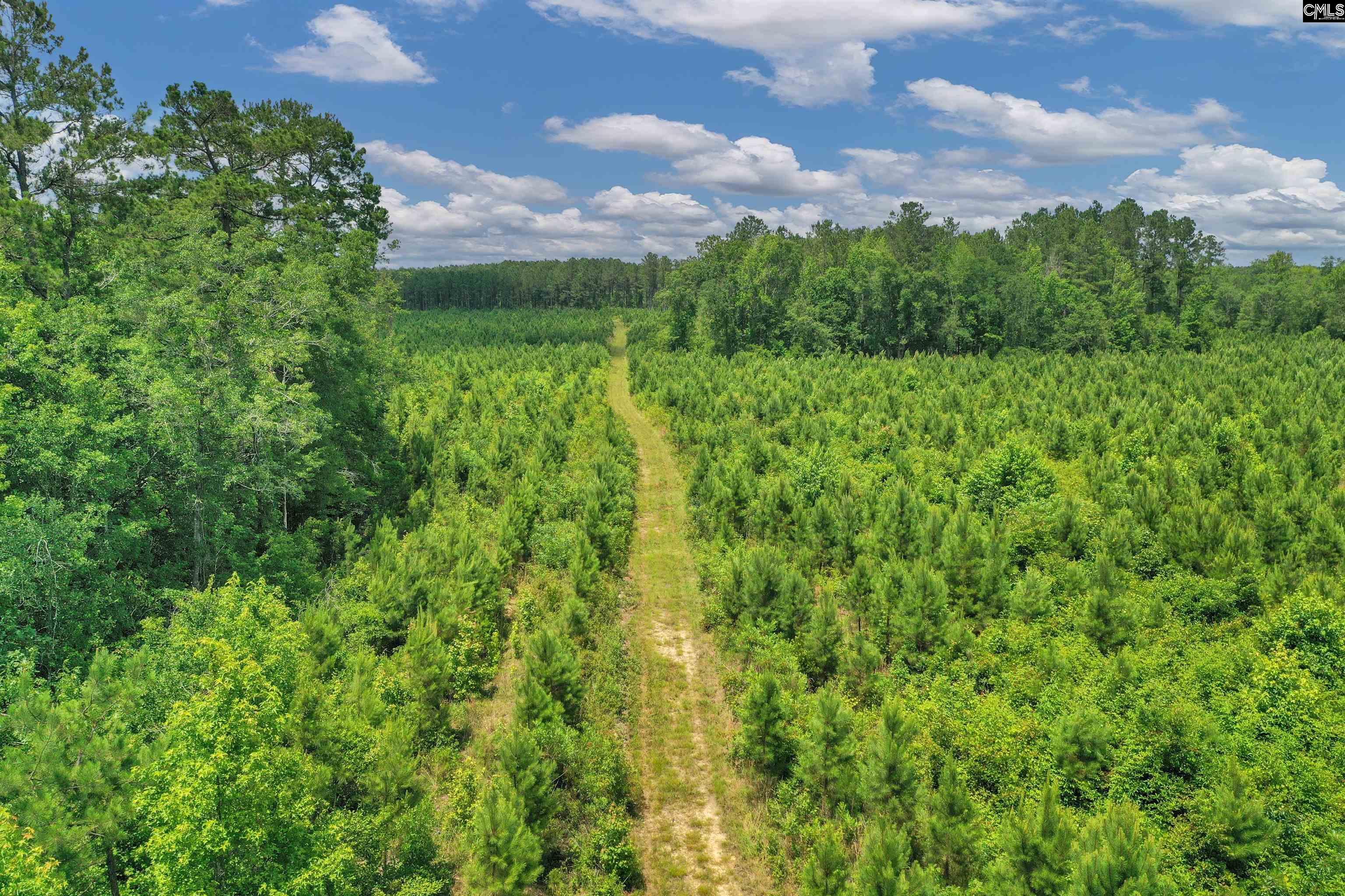 0000 N Brewington, Manning, South Carolina image 38