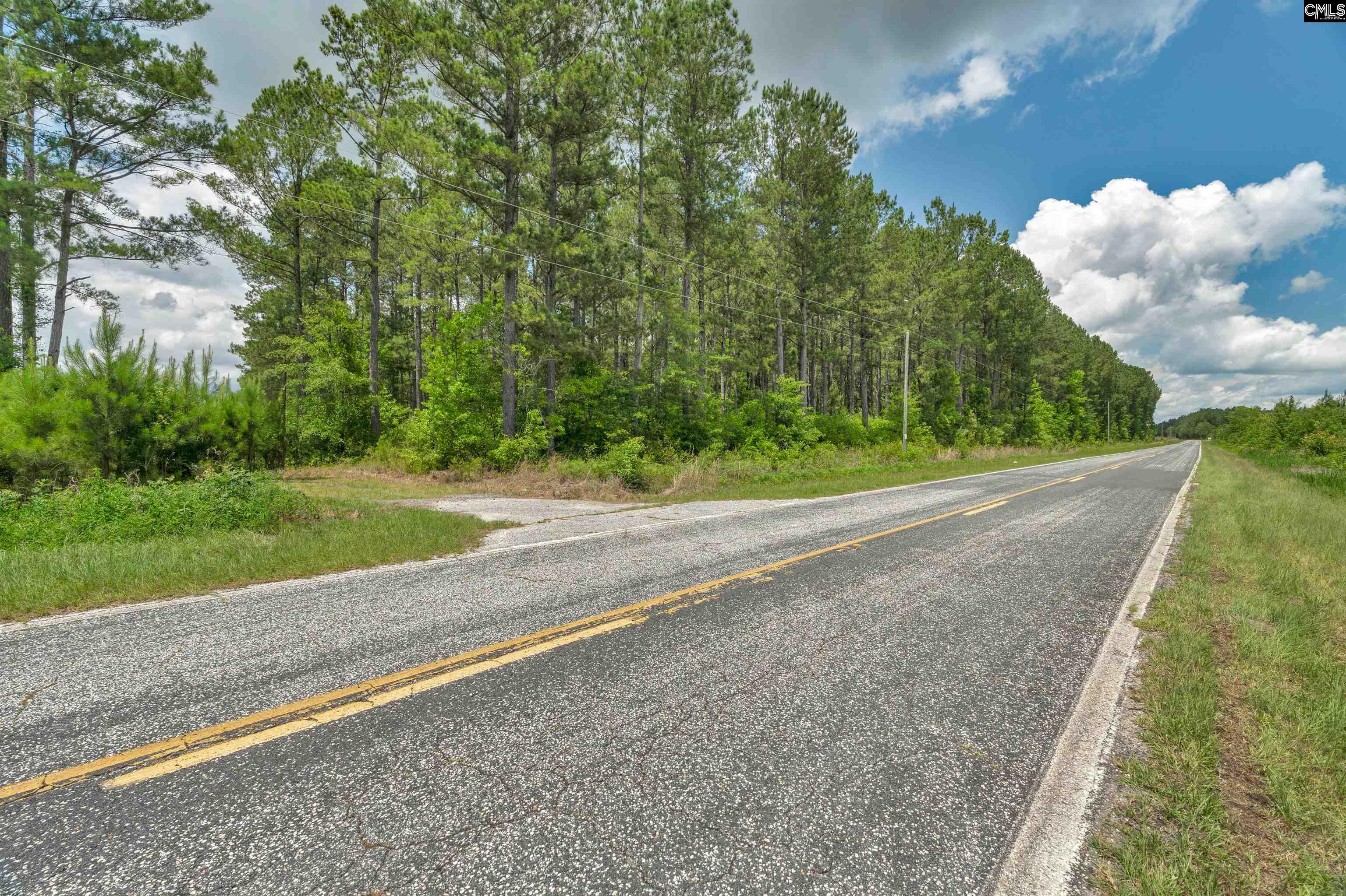 0000 N Brewington, Manning, South Carolina image 44