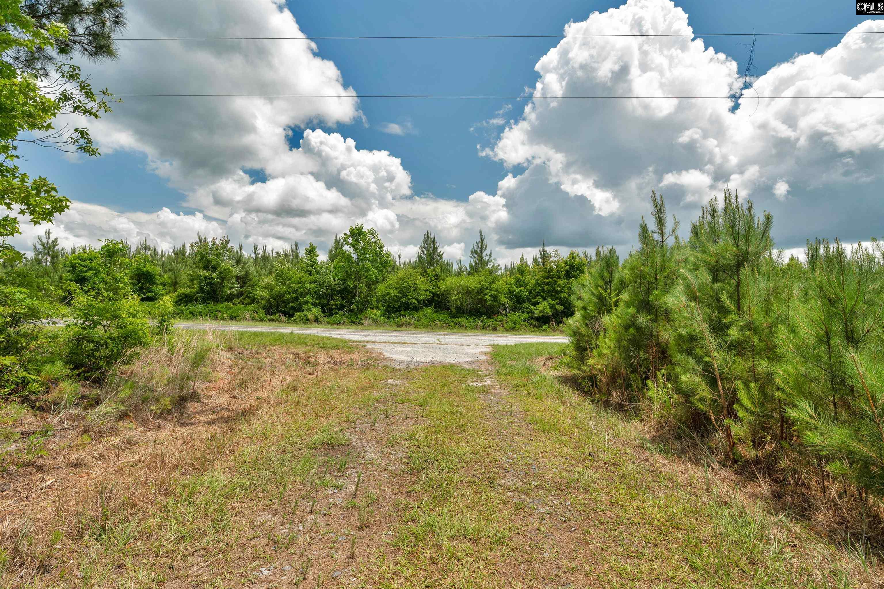 0000 N Brewington, Manning, South Carolina image 45