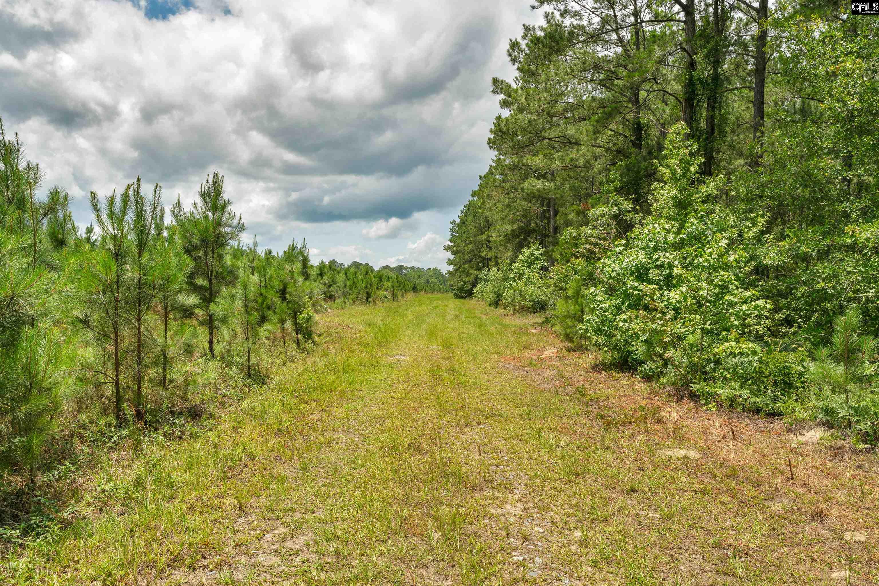 0000 N Brewington, Manning, South Carolina image 46