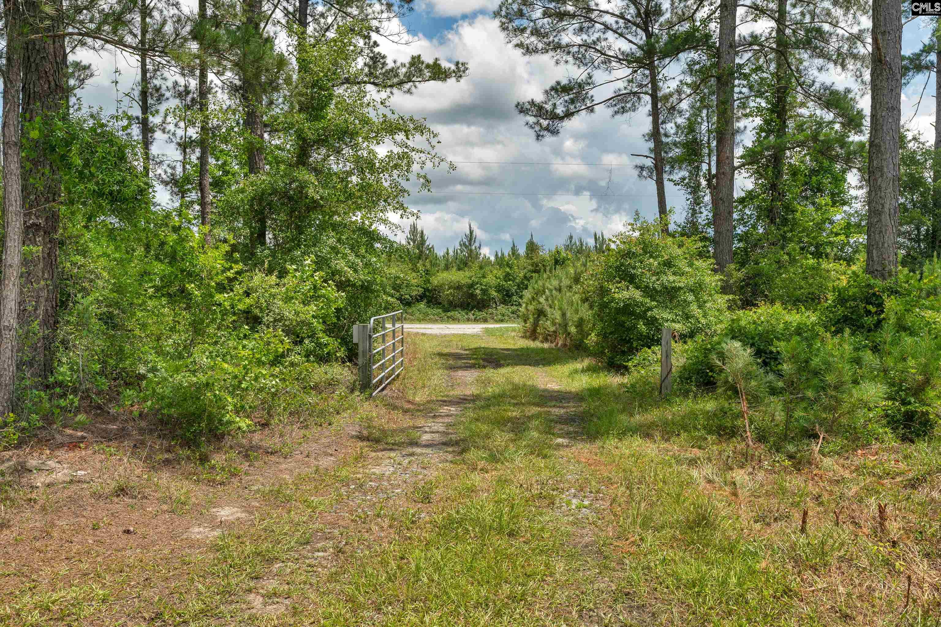0000 N Brewington, Manning, South Carolina image 47