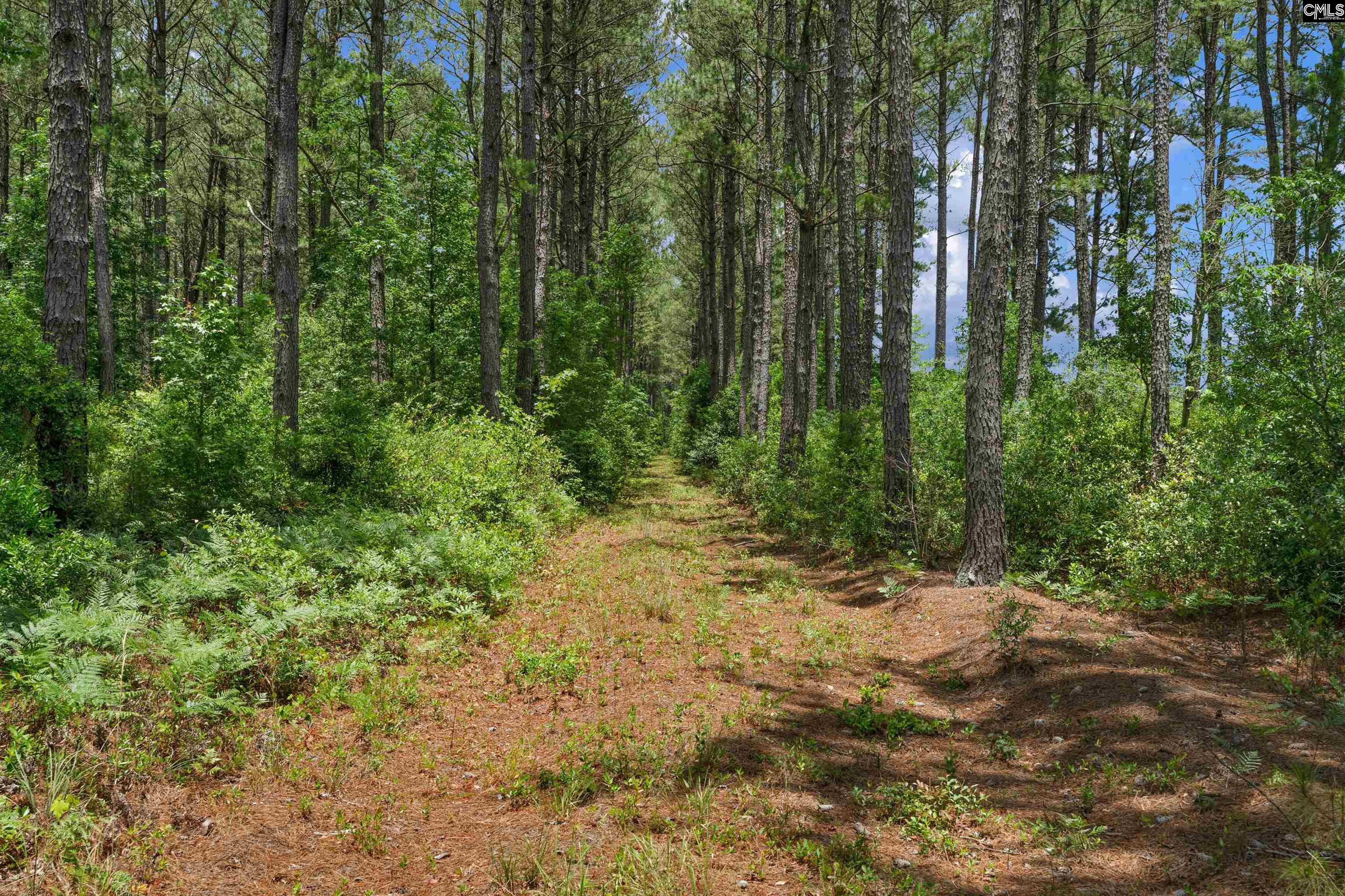 0000 N Brewington, Manning, South Carolina image 48