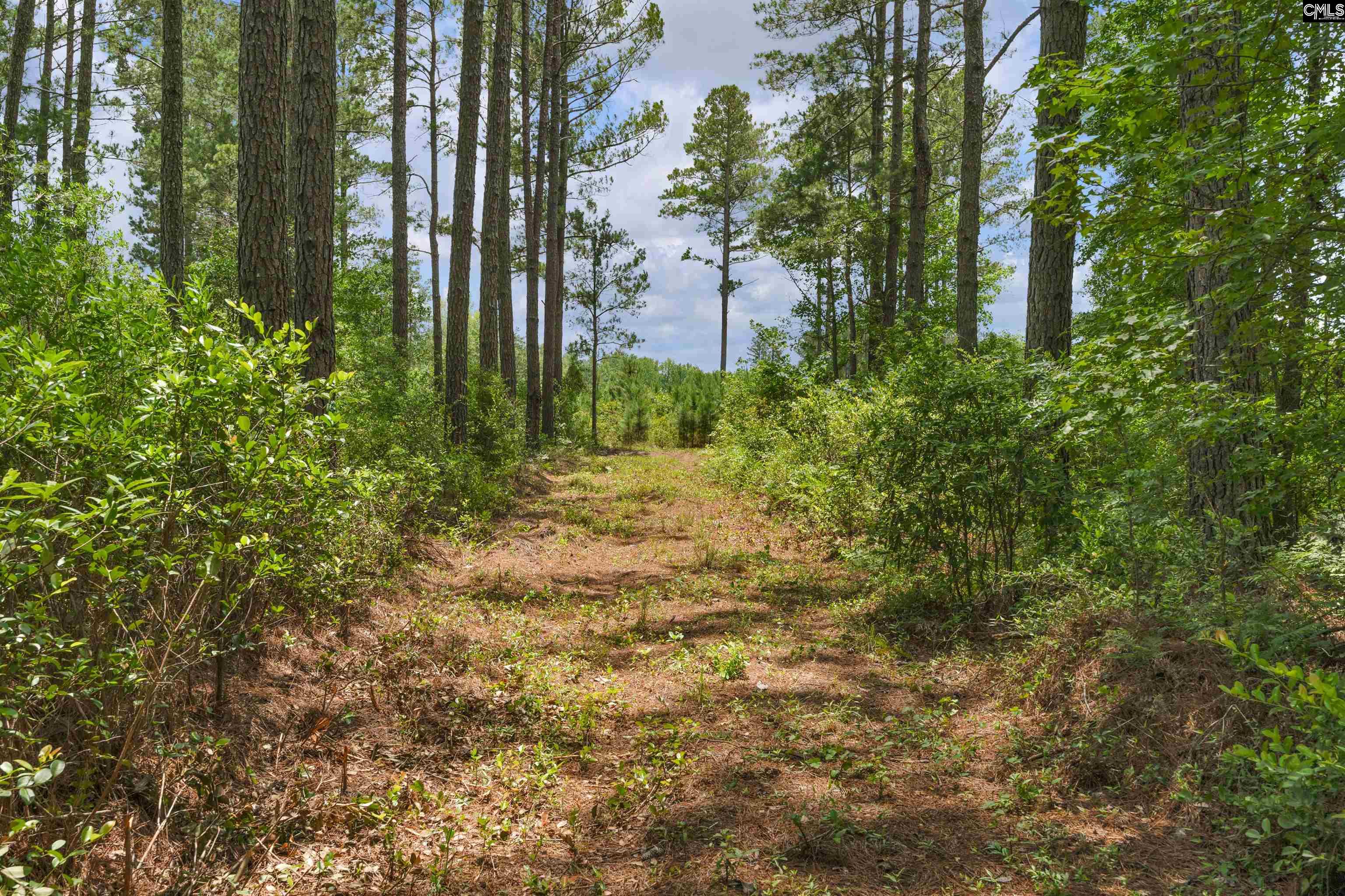0000 N Brewington, Manning, South Carolina image 49