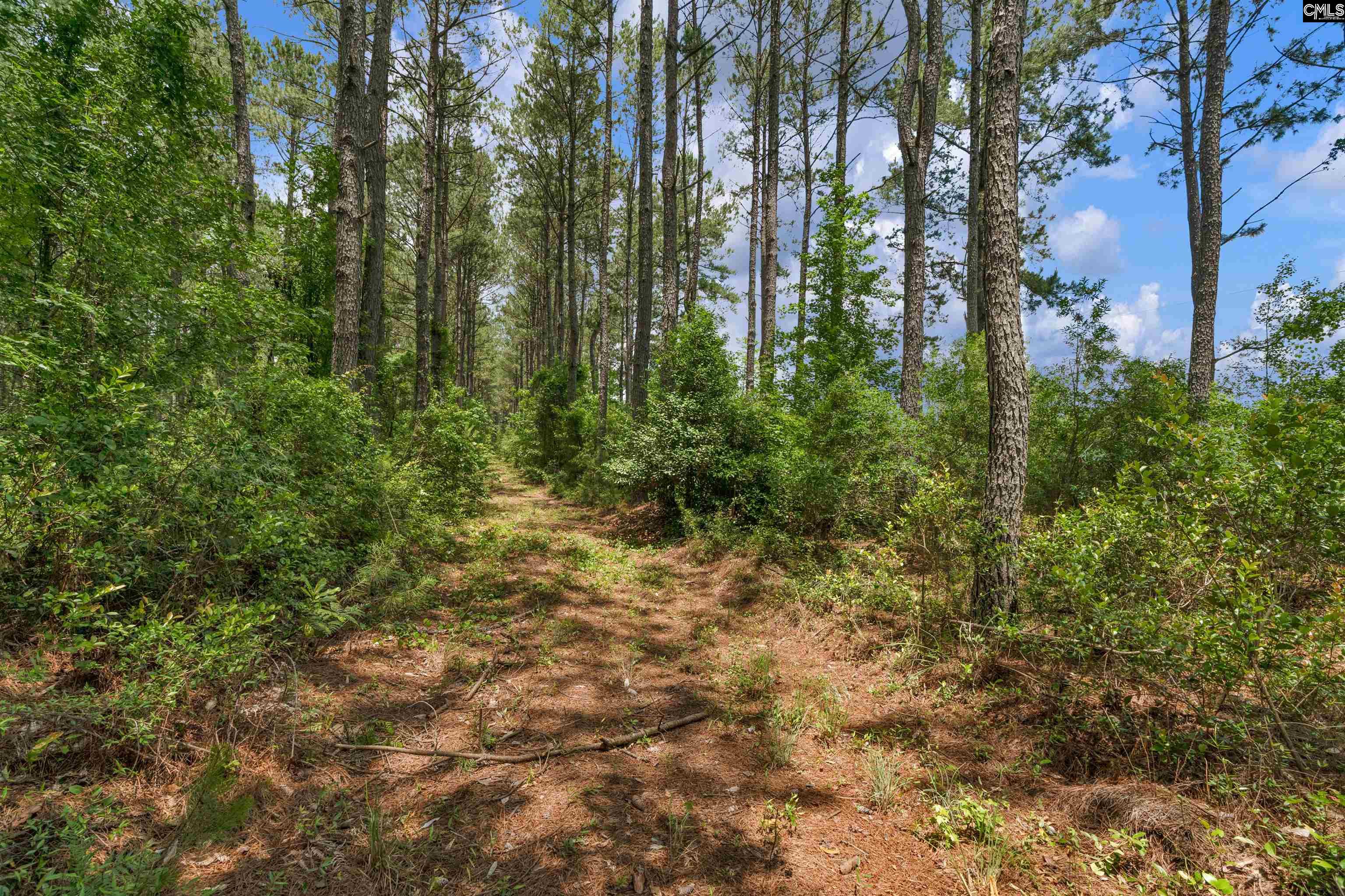 0000 N Brewington, Manning, South Carolina image 50