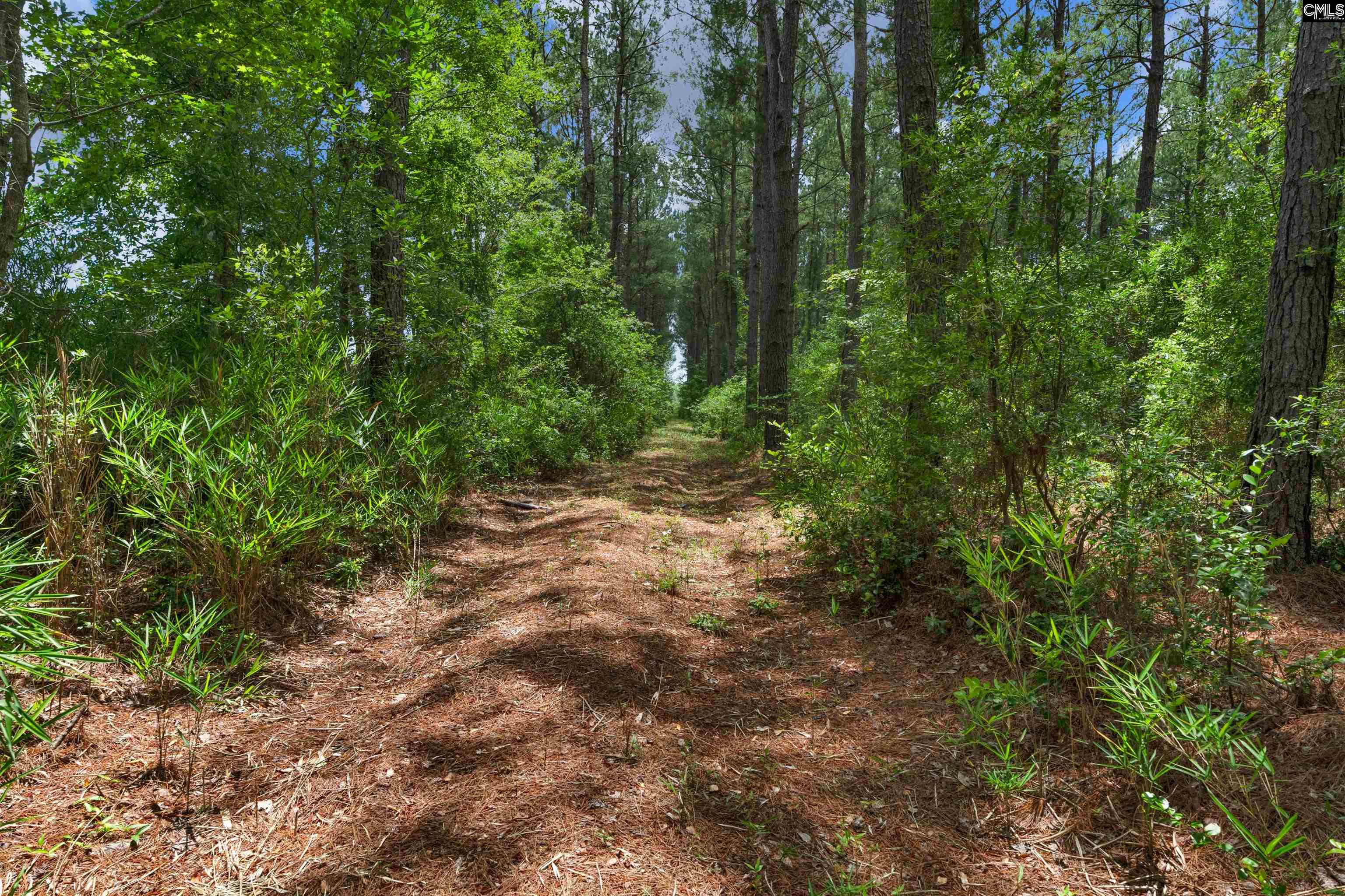 0000 N Brewington Manning, SC 29102
