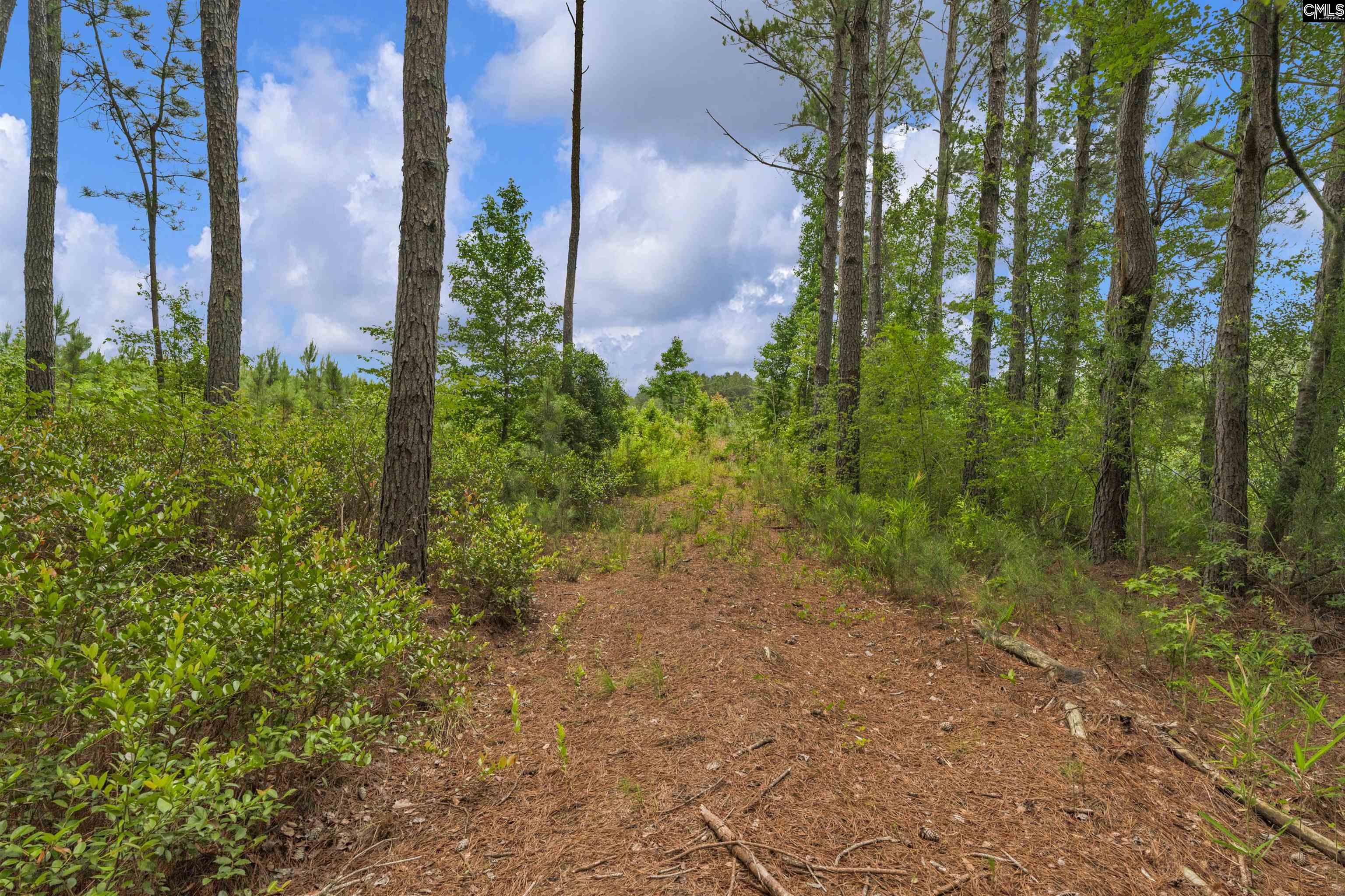 0000 N Brewington Manning, SC 29102