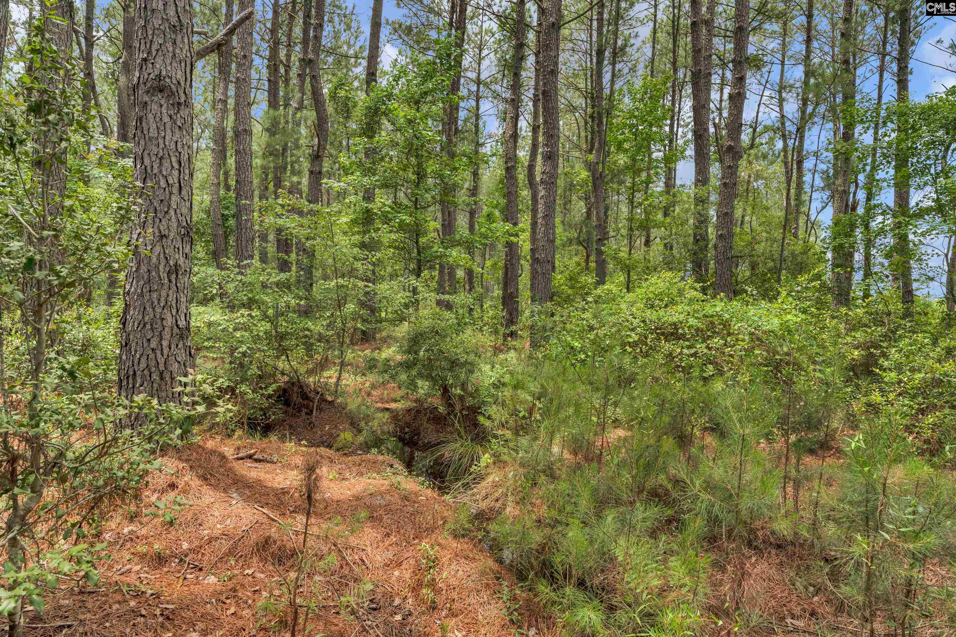 0000 N Brewington Manning, SC 29102