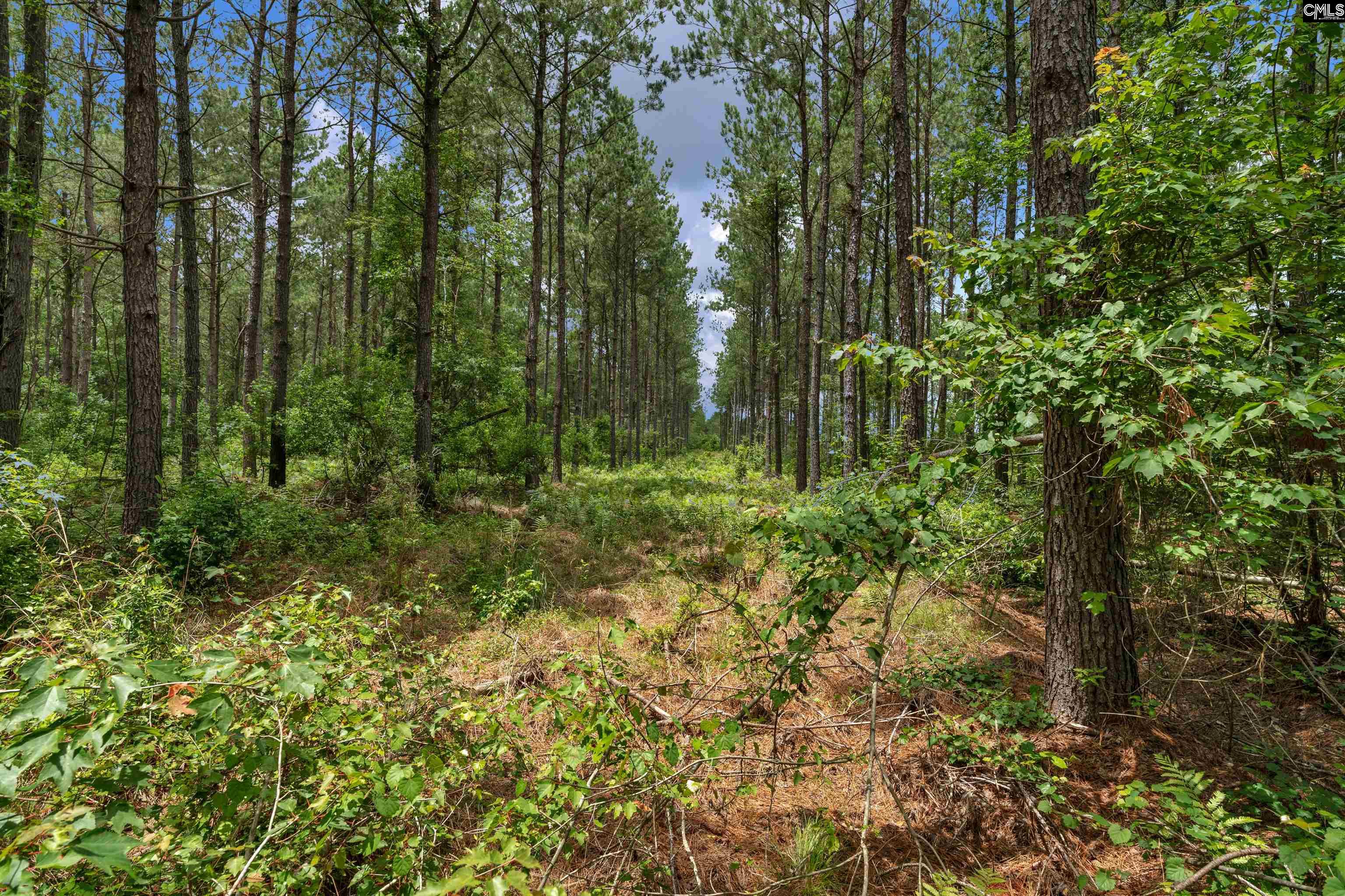 0000 N Brewington Manning, SC 29102