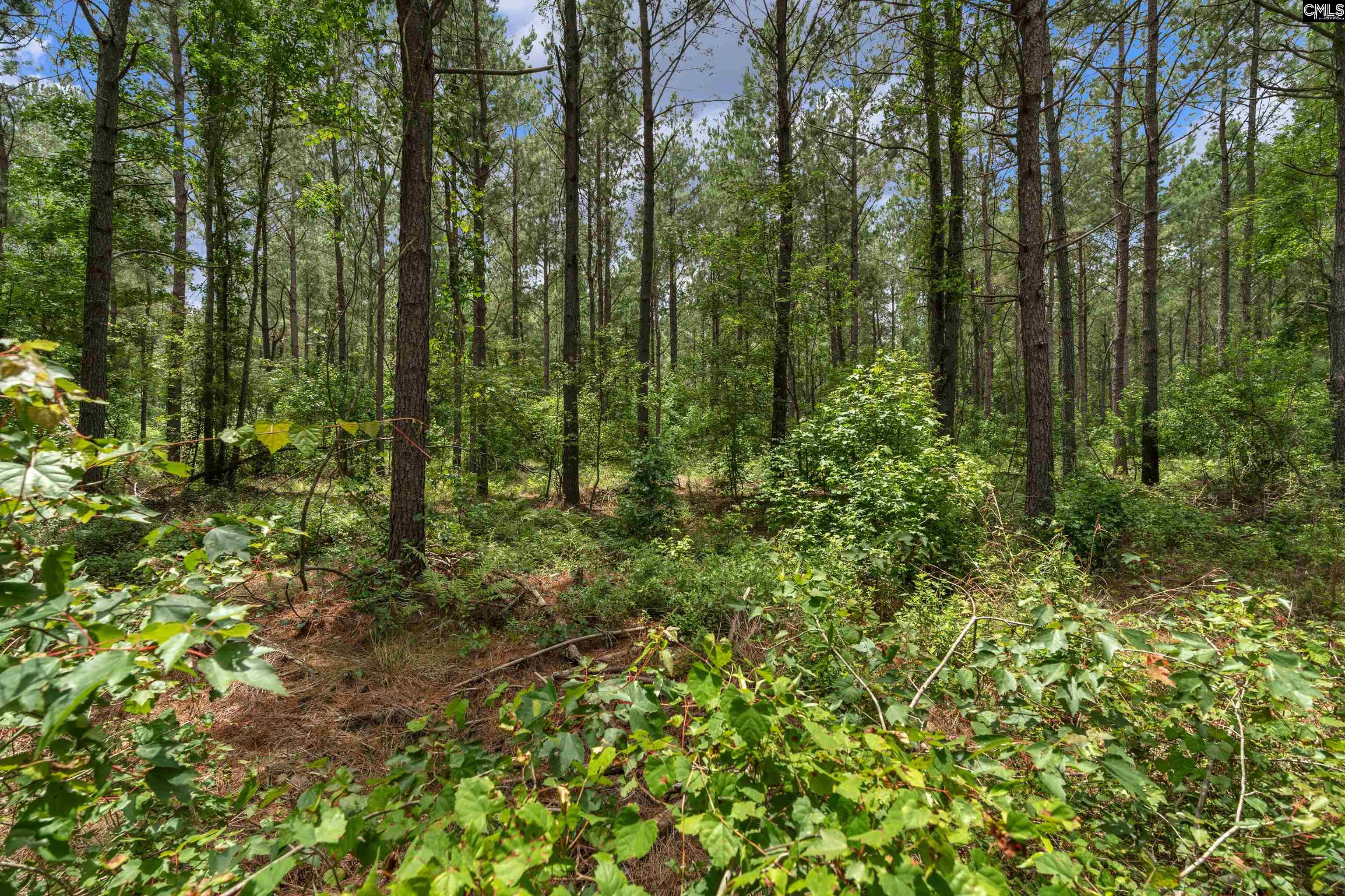 0000 N Brewington Manning, SC 29102