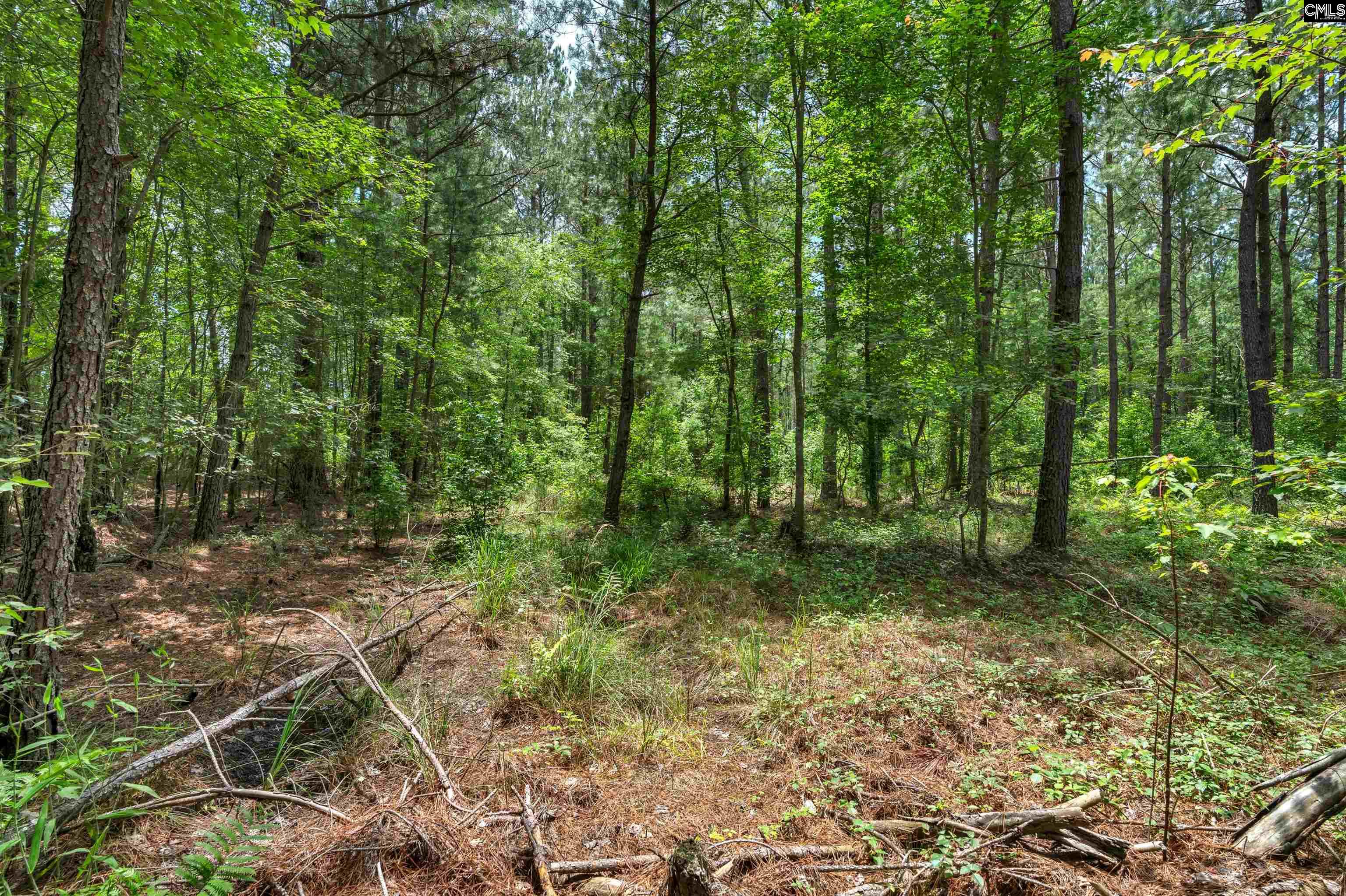 0000 N Brewington Manning, SC 29102