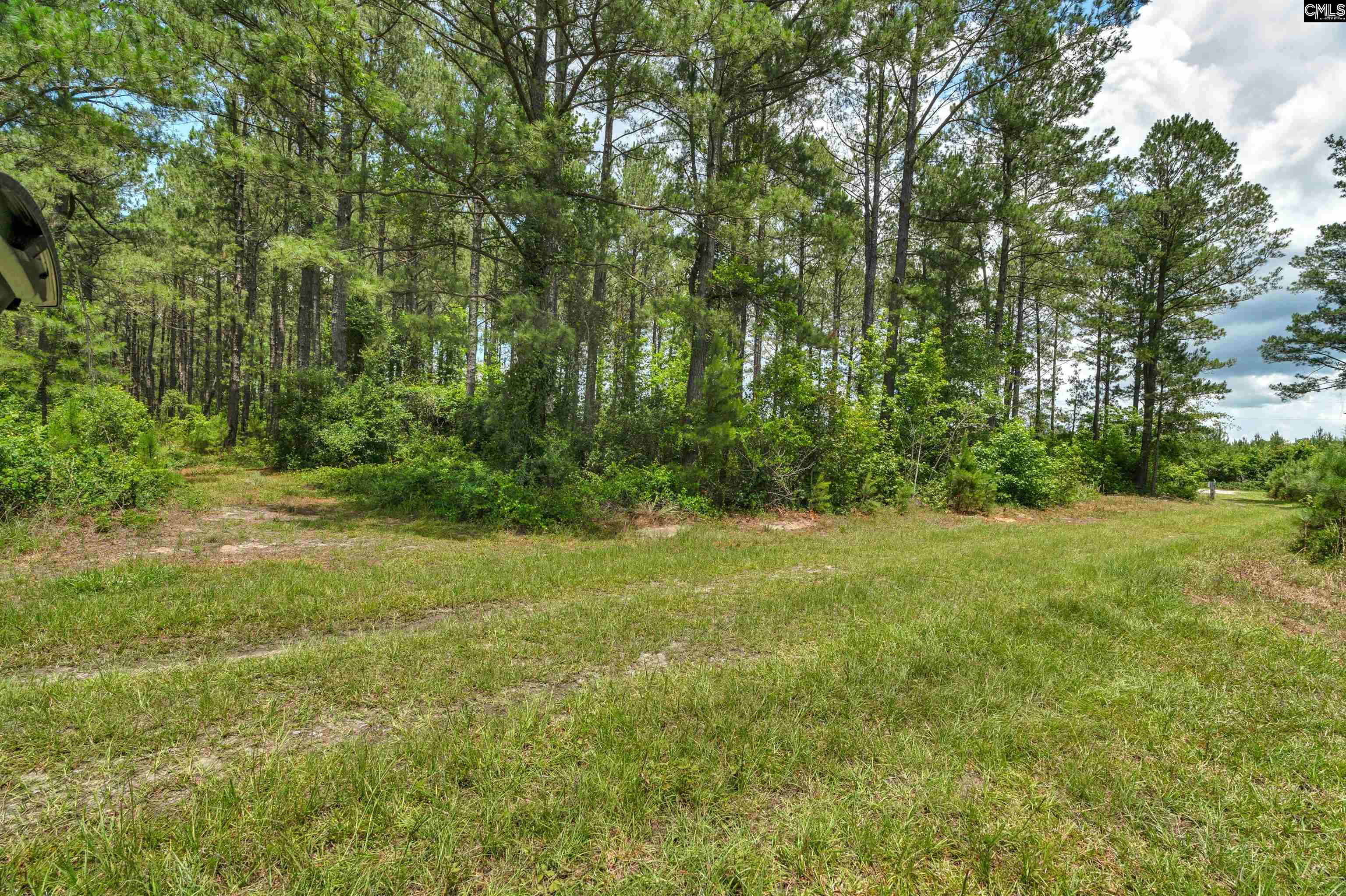 0000 N Brewington Manning, SC 29102