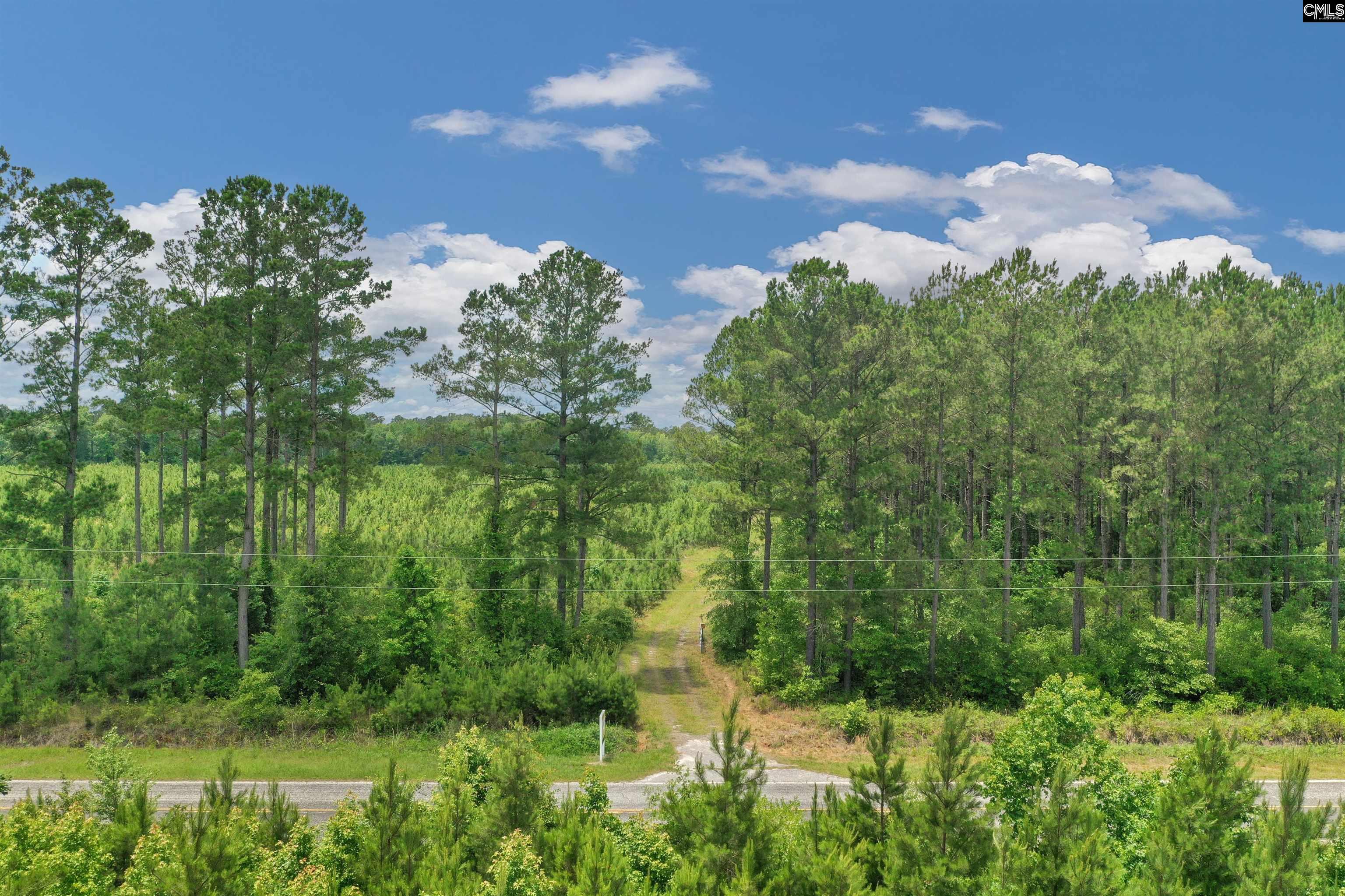 0000 N Brewington, Manning, South Carolina image 7
