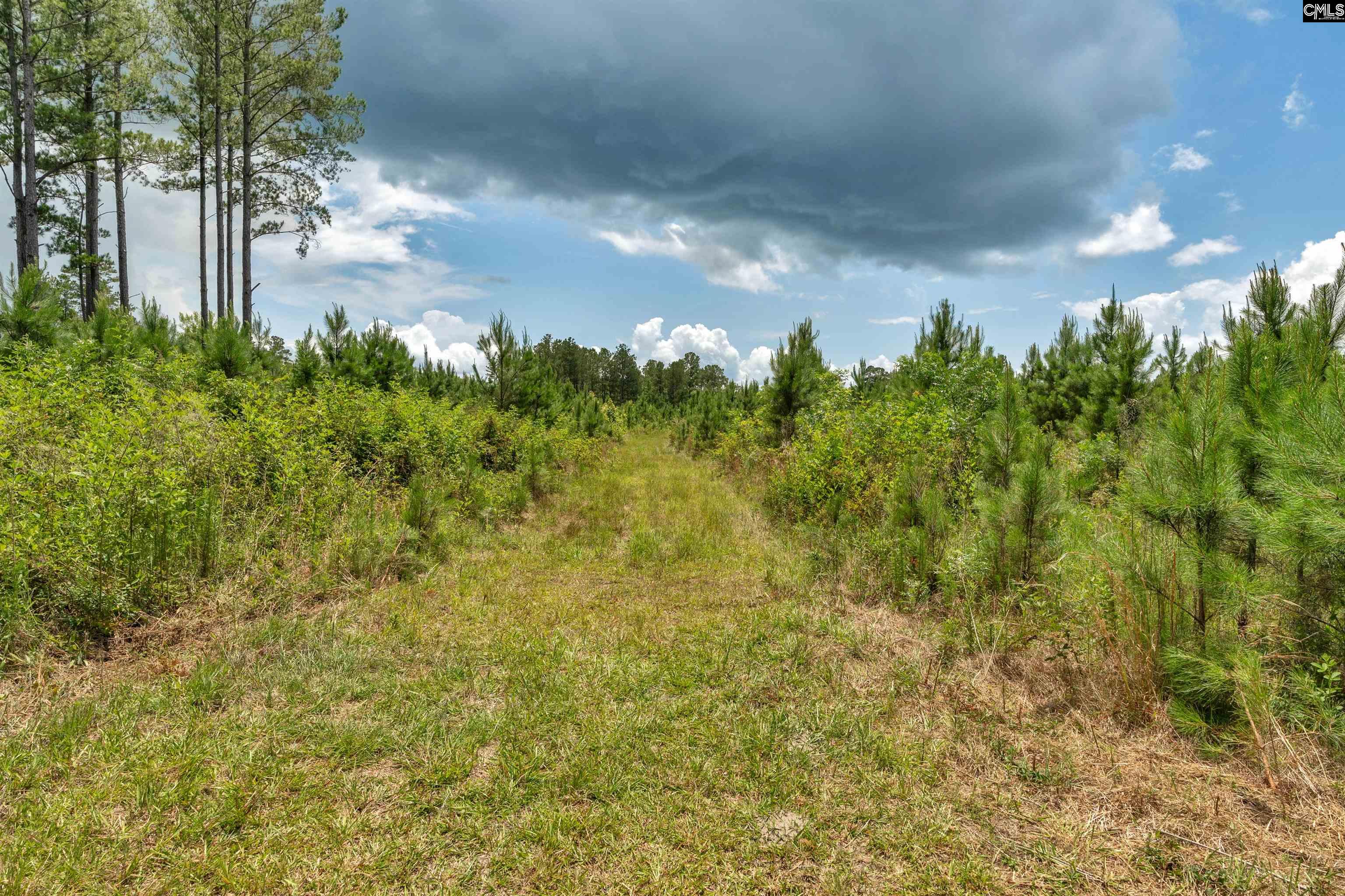 0000 N Brewington Manning, SC 29102
