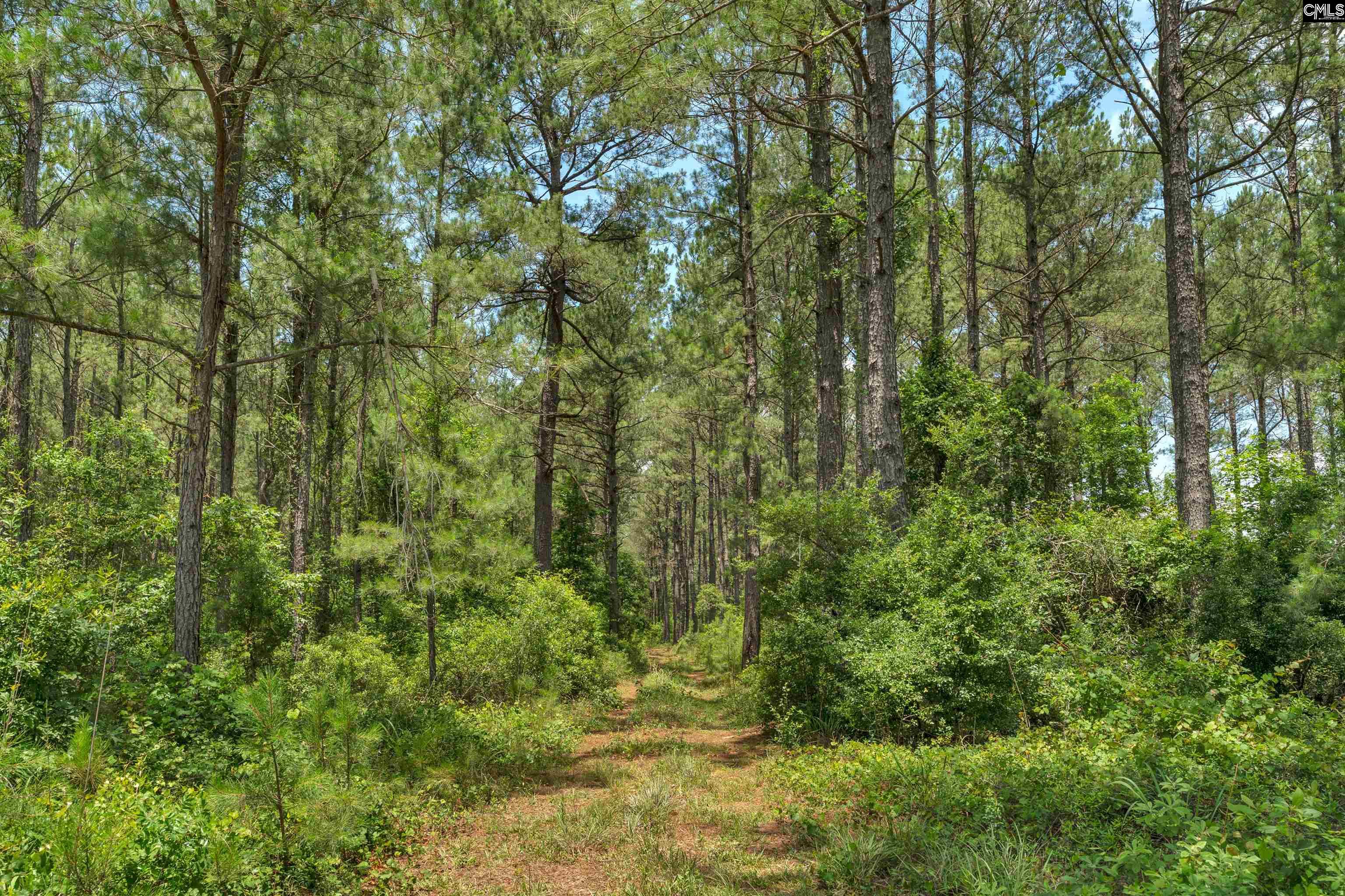 0000 N Brewington Manning, SC 29102